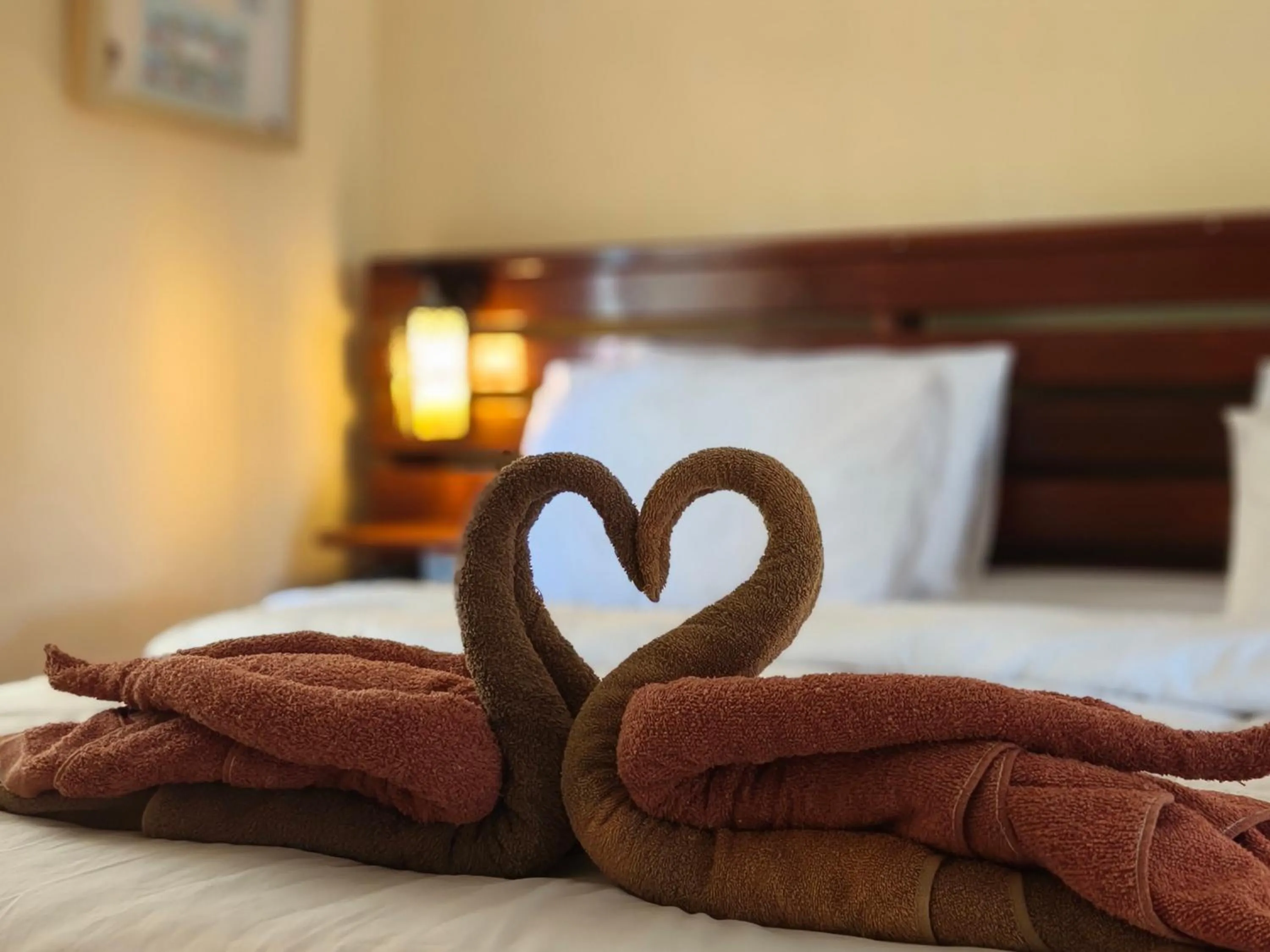 Bed in Gili Buana Hostel & Backpackers Gili Air