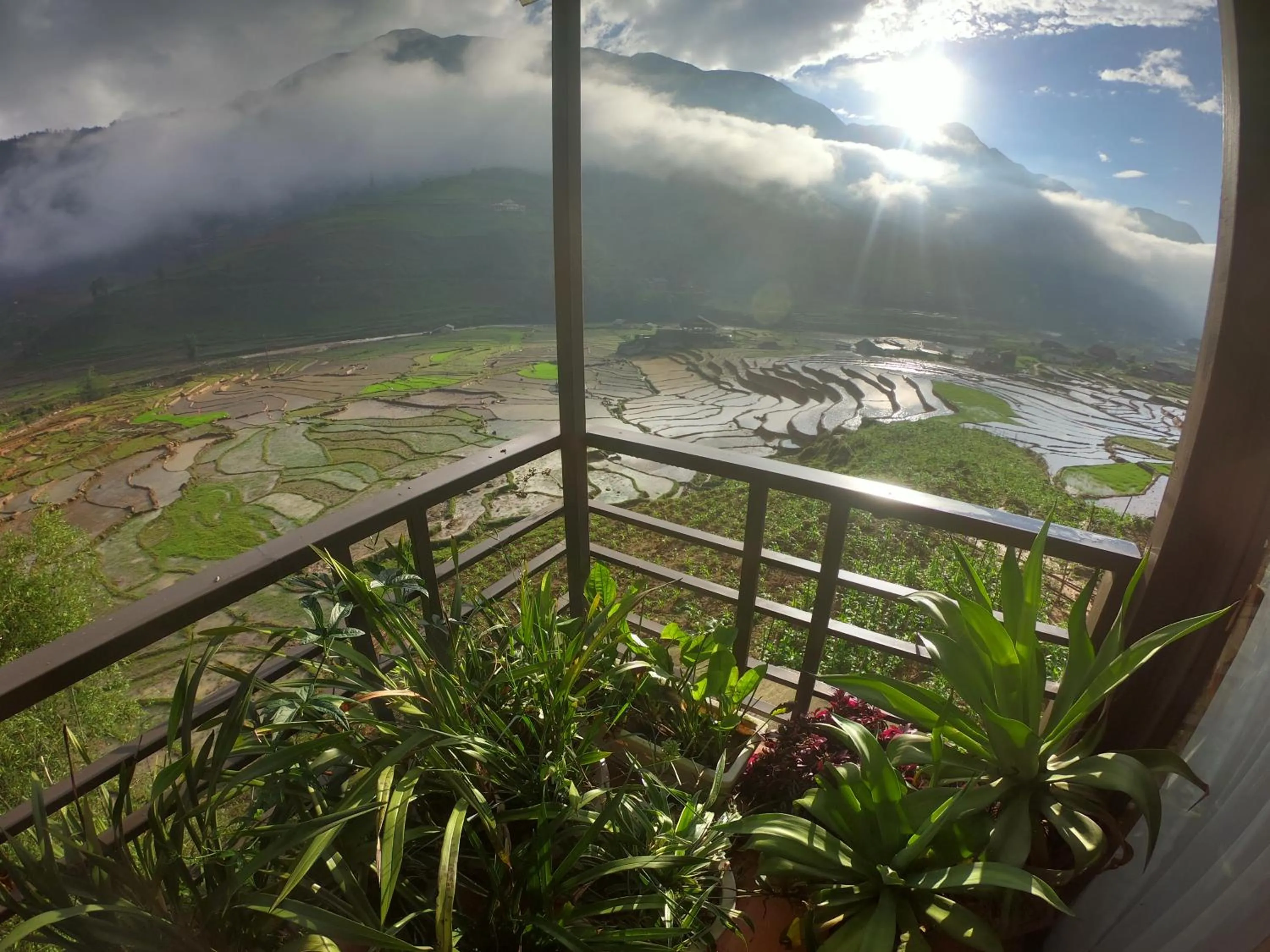 Natural landscape in Amica House