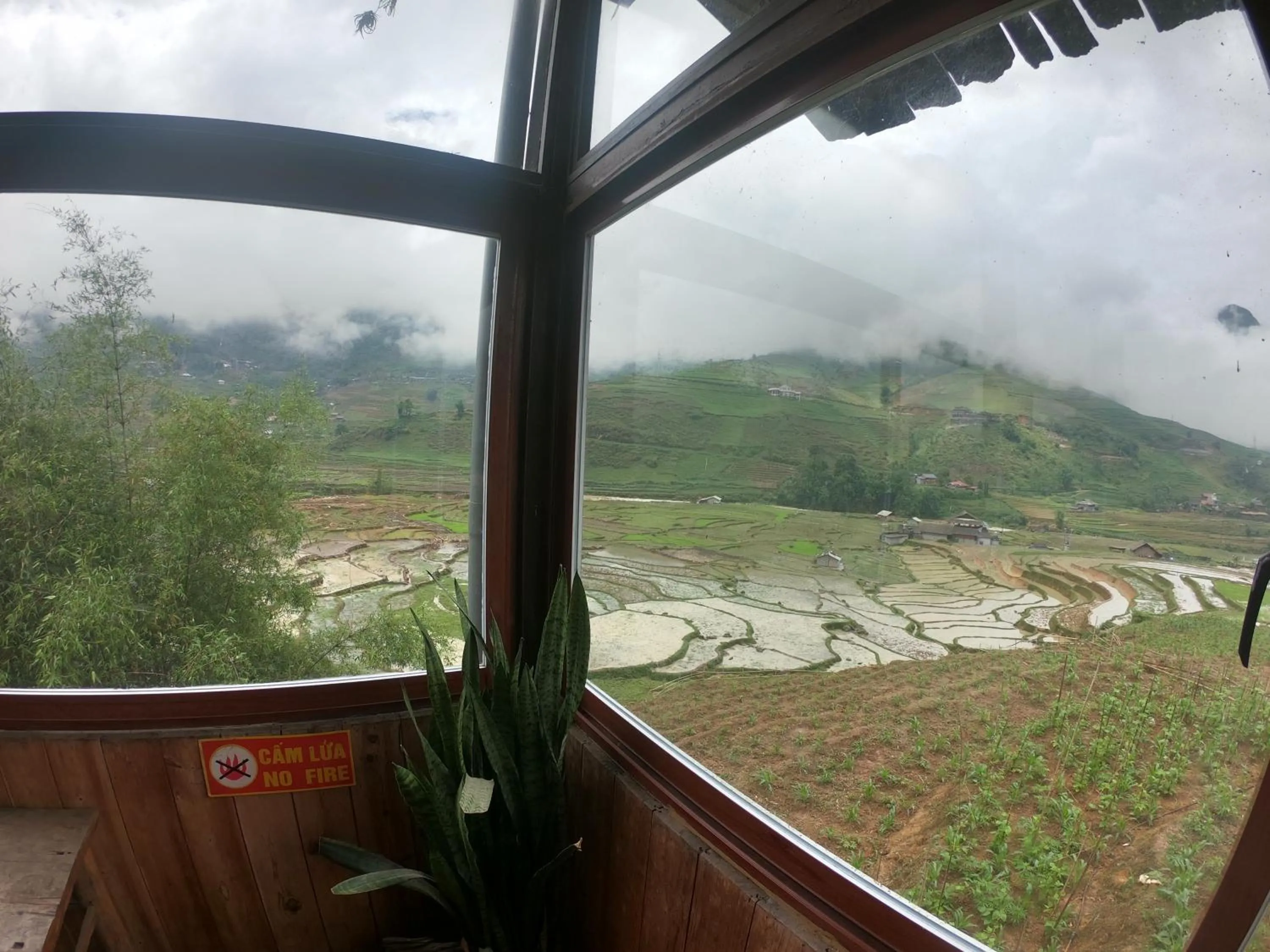 Natural landscape in Amica House