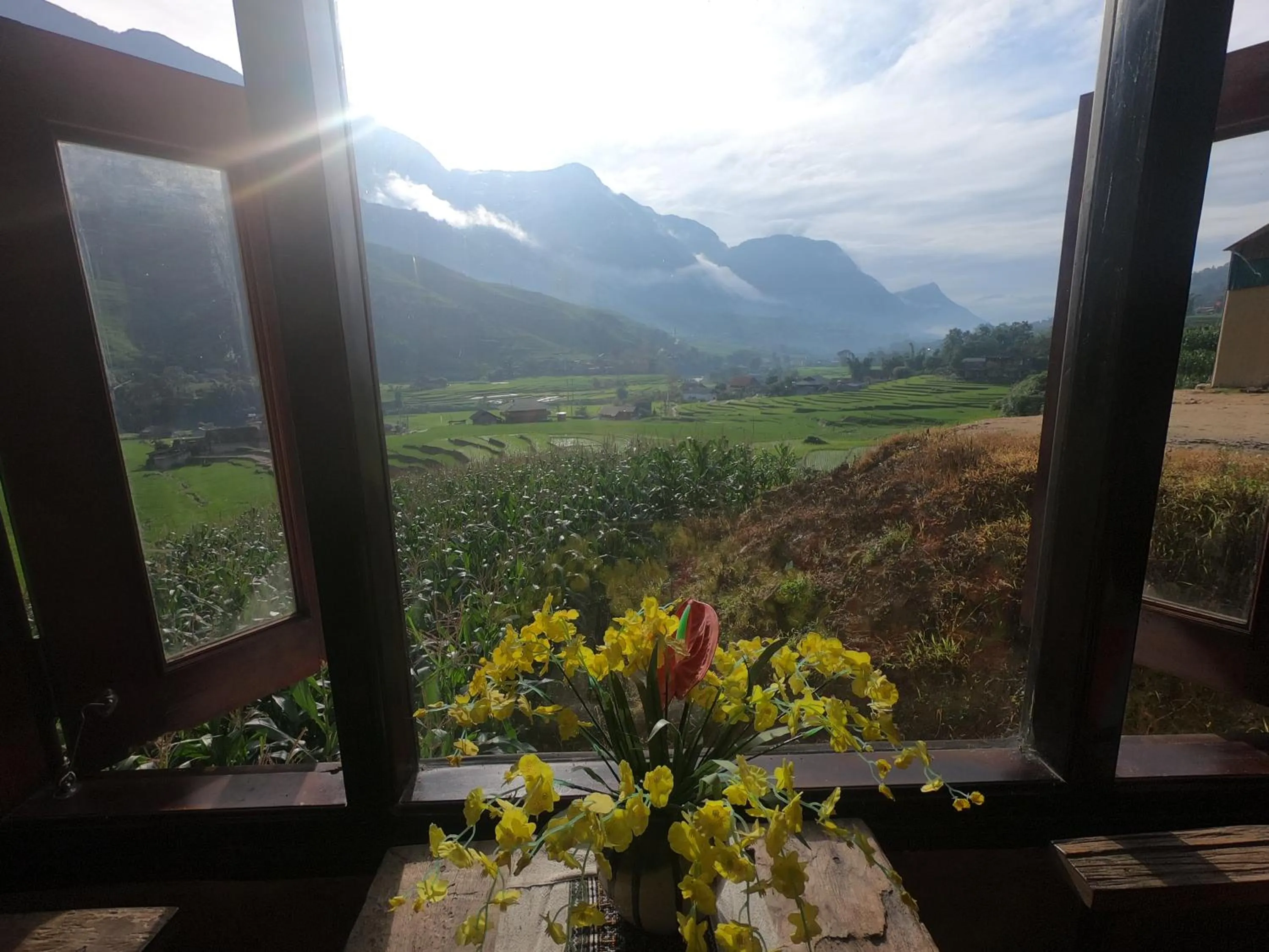 View (from property/room) in Amica House