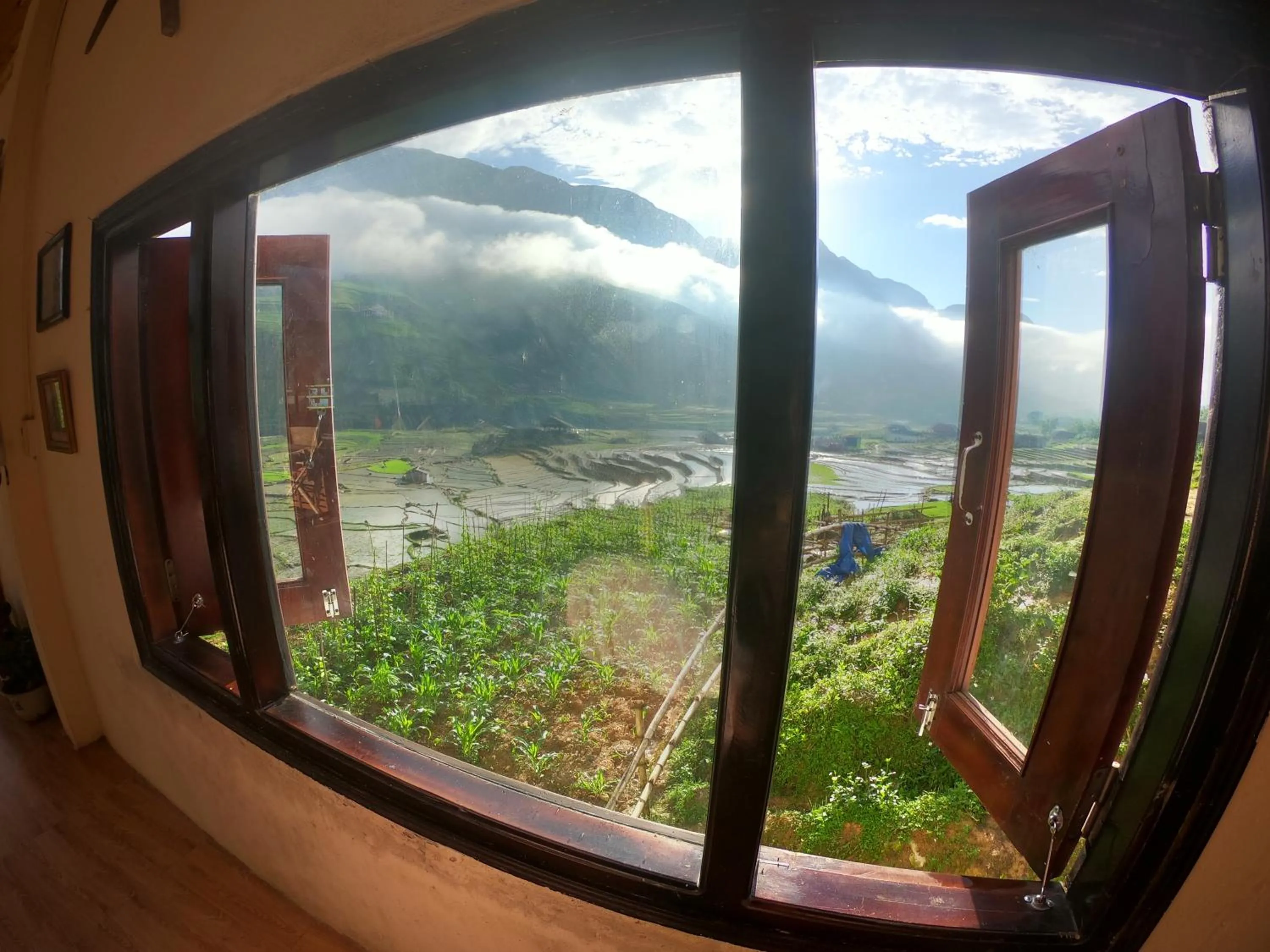 Garden view in Amica House