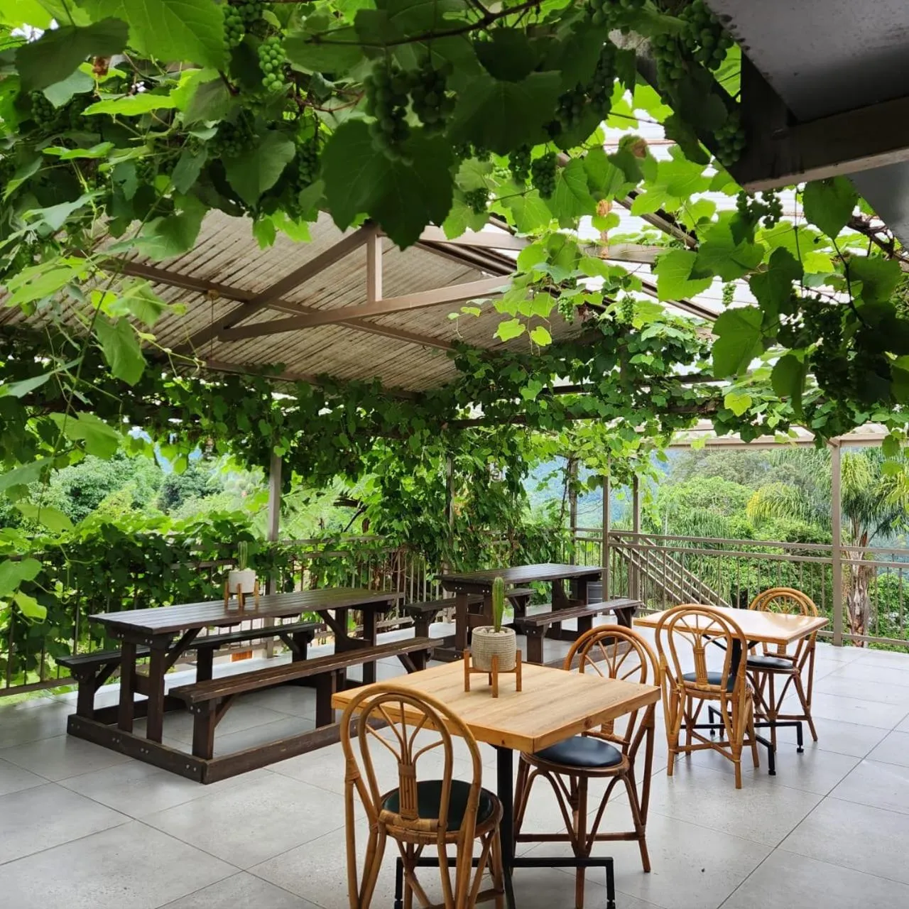 Restaurant/places to eat in Magoebaskloof Mountain Lodge