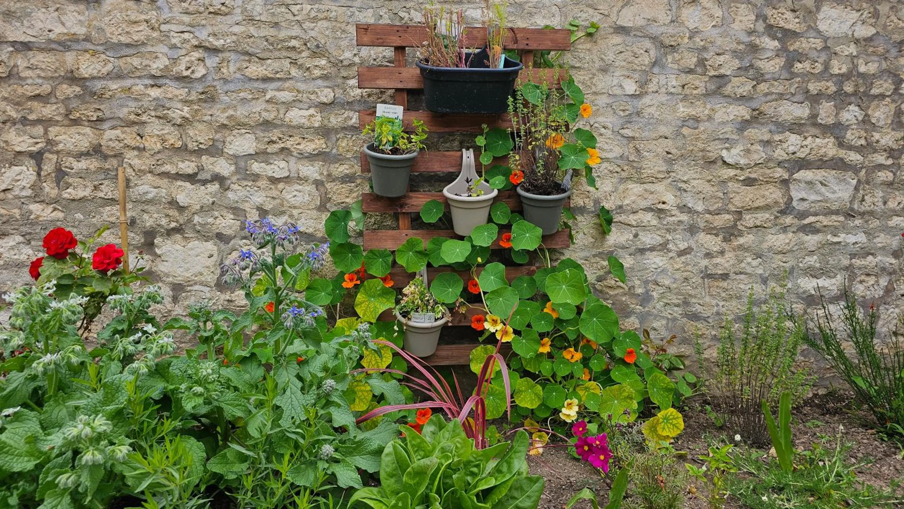 Garden in La Maison de Vénus