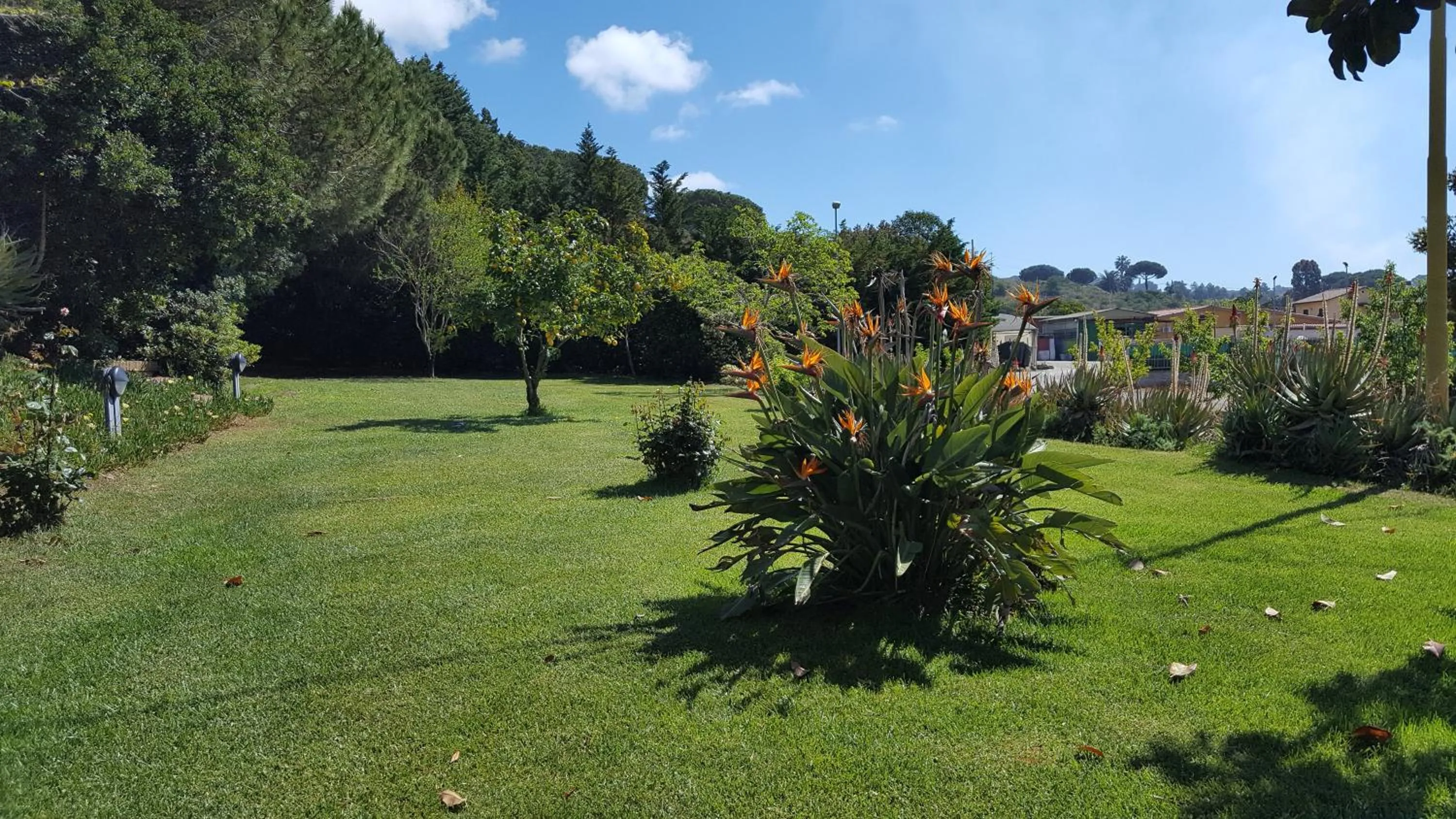 Garden in Agriturismo Rebua
