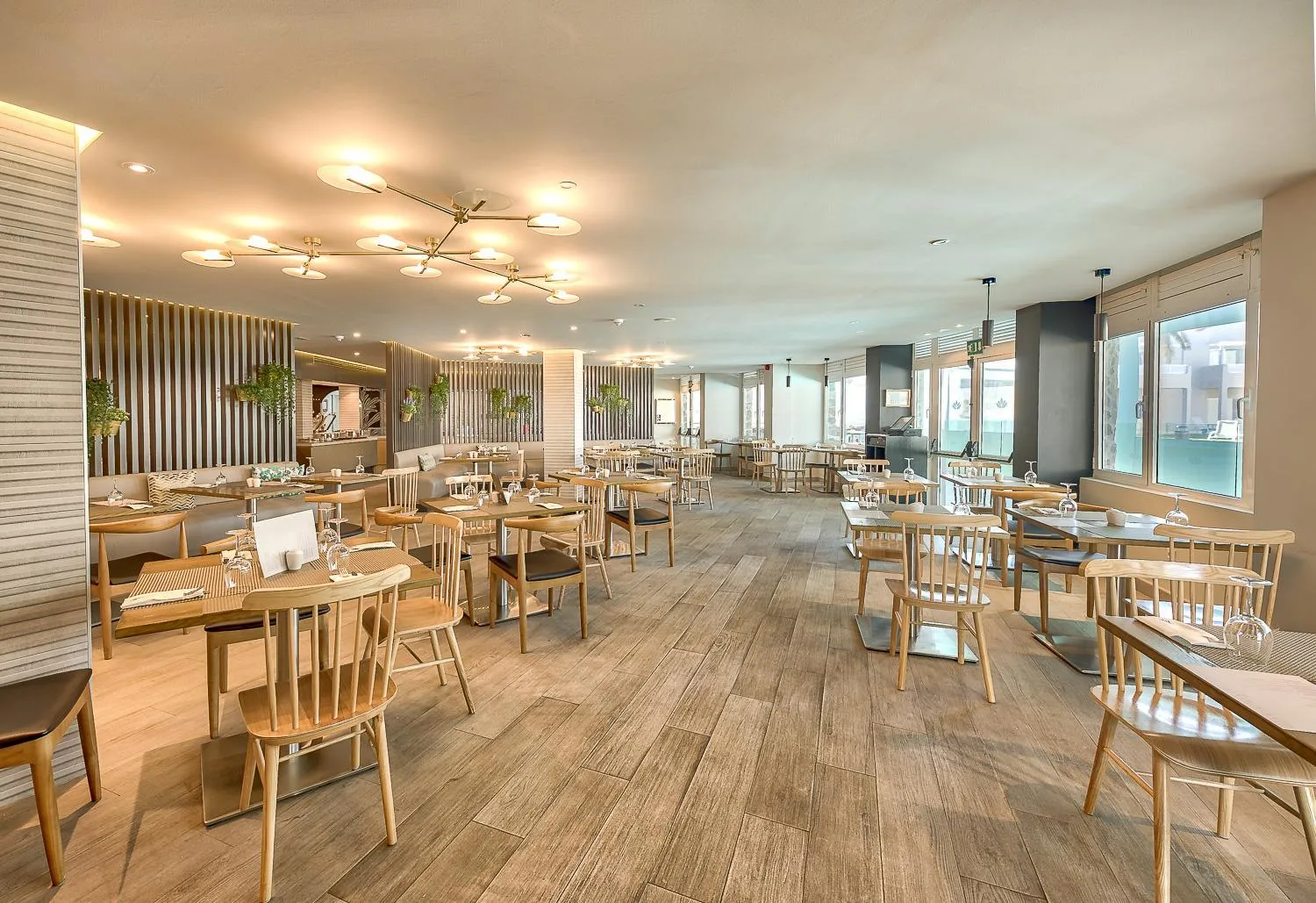 Food and drinks in Hotel LIVVO Koala Garden