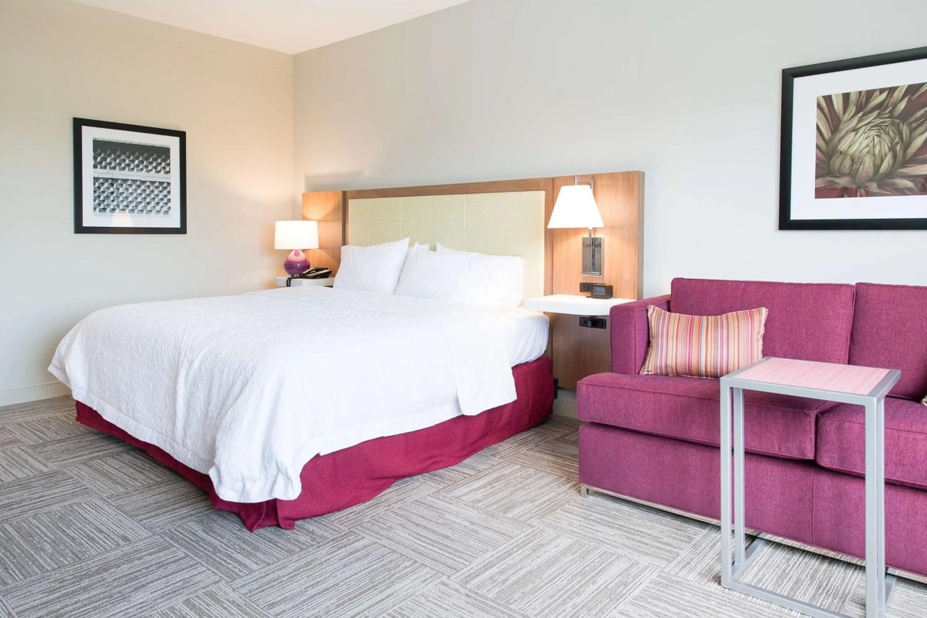 Living room, Bed in Hampton Inn and Suites Fayetteville, NC