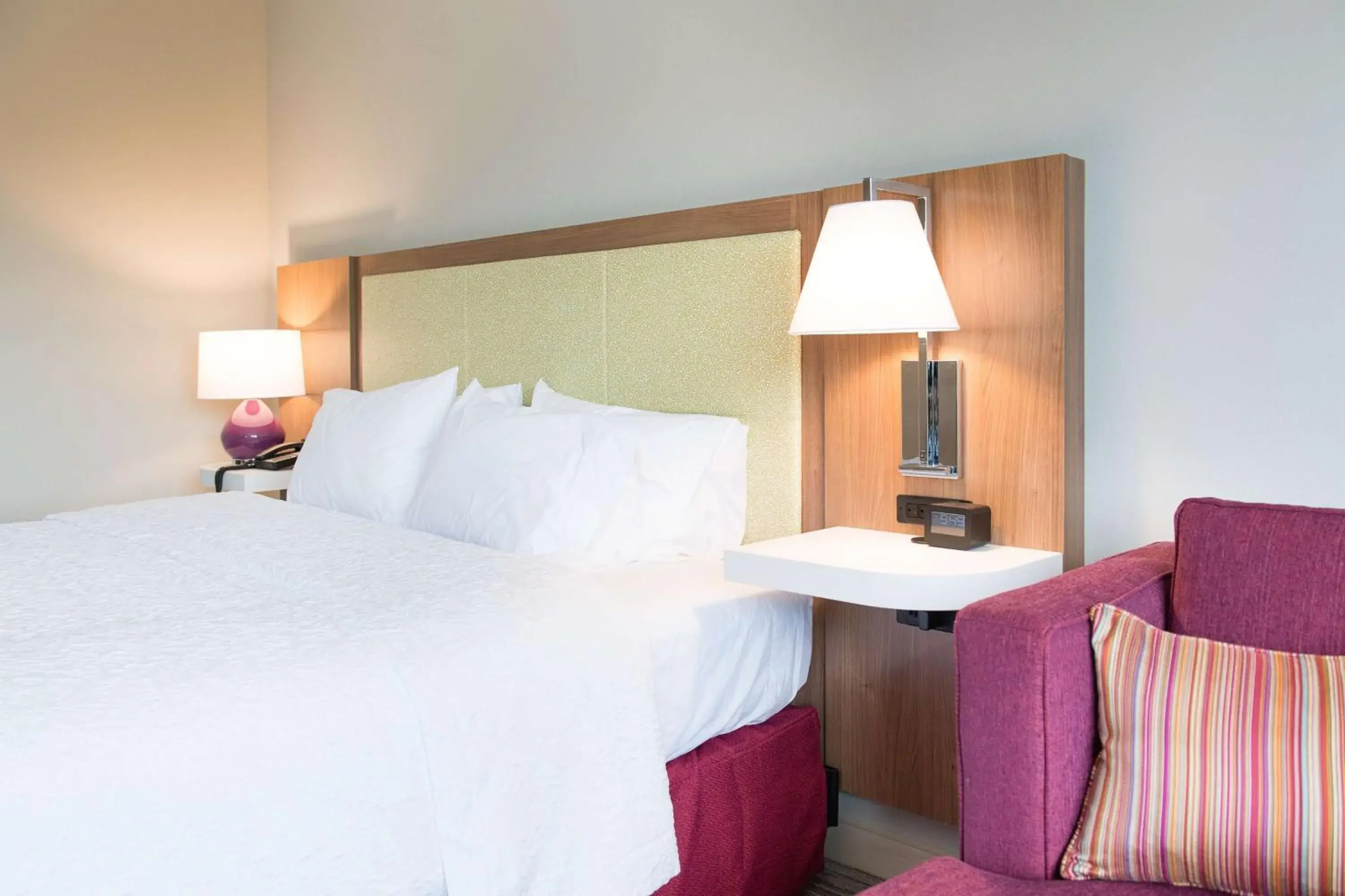 King Studio Suite - Non Smoking in Hampton Inn and Suites Fayetteville, NC King Studio Suite - Non Smoking in Hampton Inn and Suites Fayetteville, NC