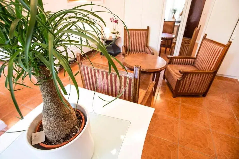 Apartment - Ground Floor in Luna apartment Apartment - Ground Floor in Luna apartment