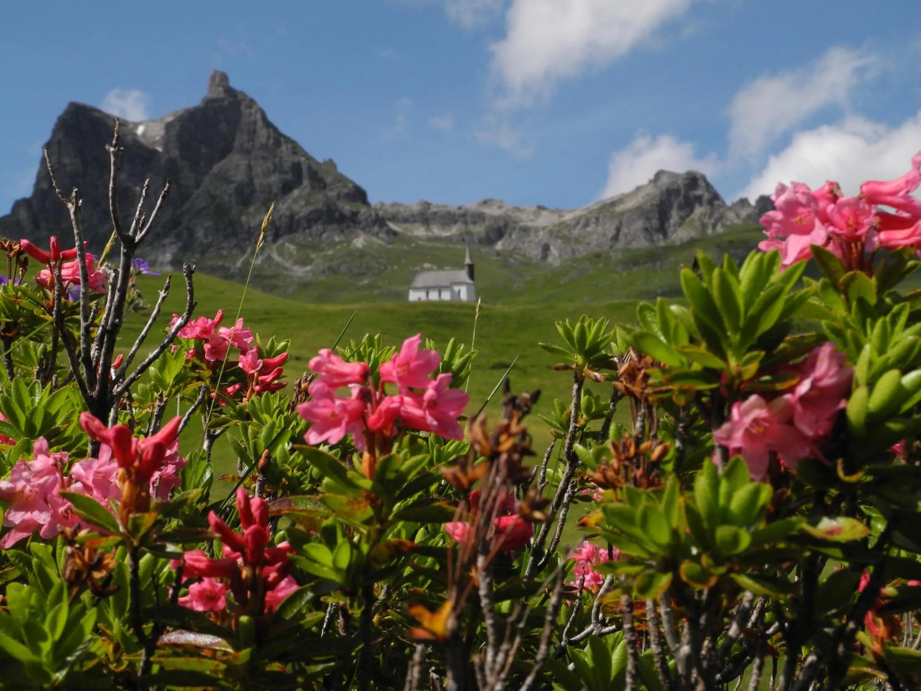 Natural landscape in Bergspitz Luxury Appartement