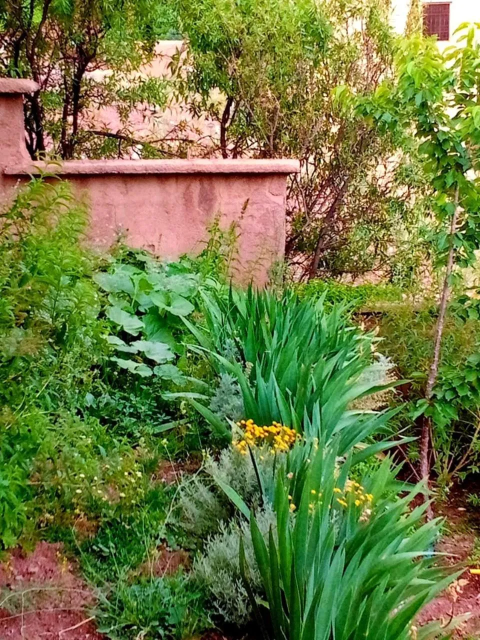 Garden in Toubkal Ecolodge