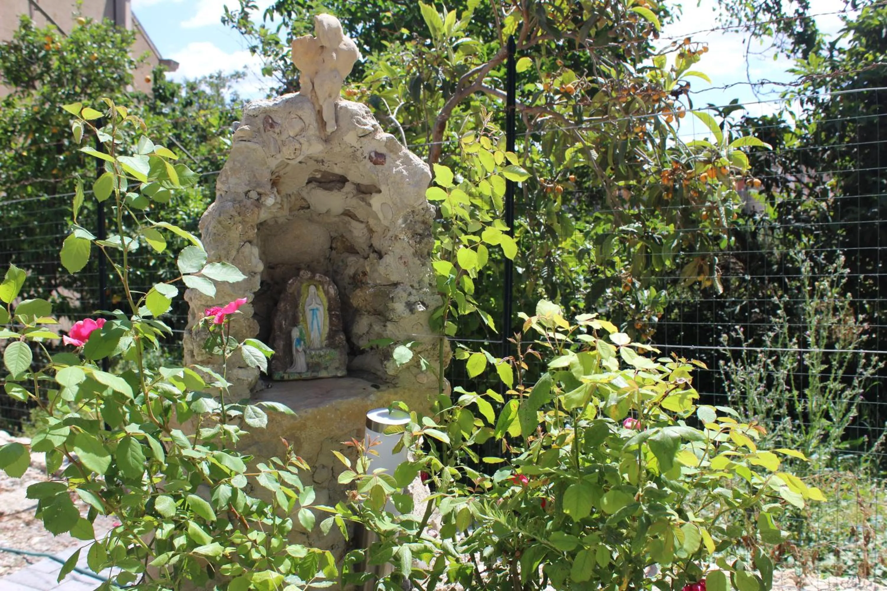 Garden in Al Qatta Bed & Breakfast