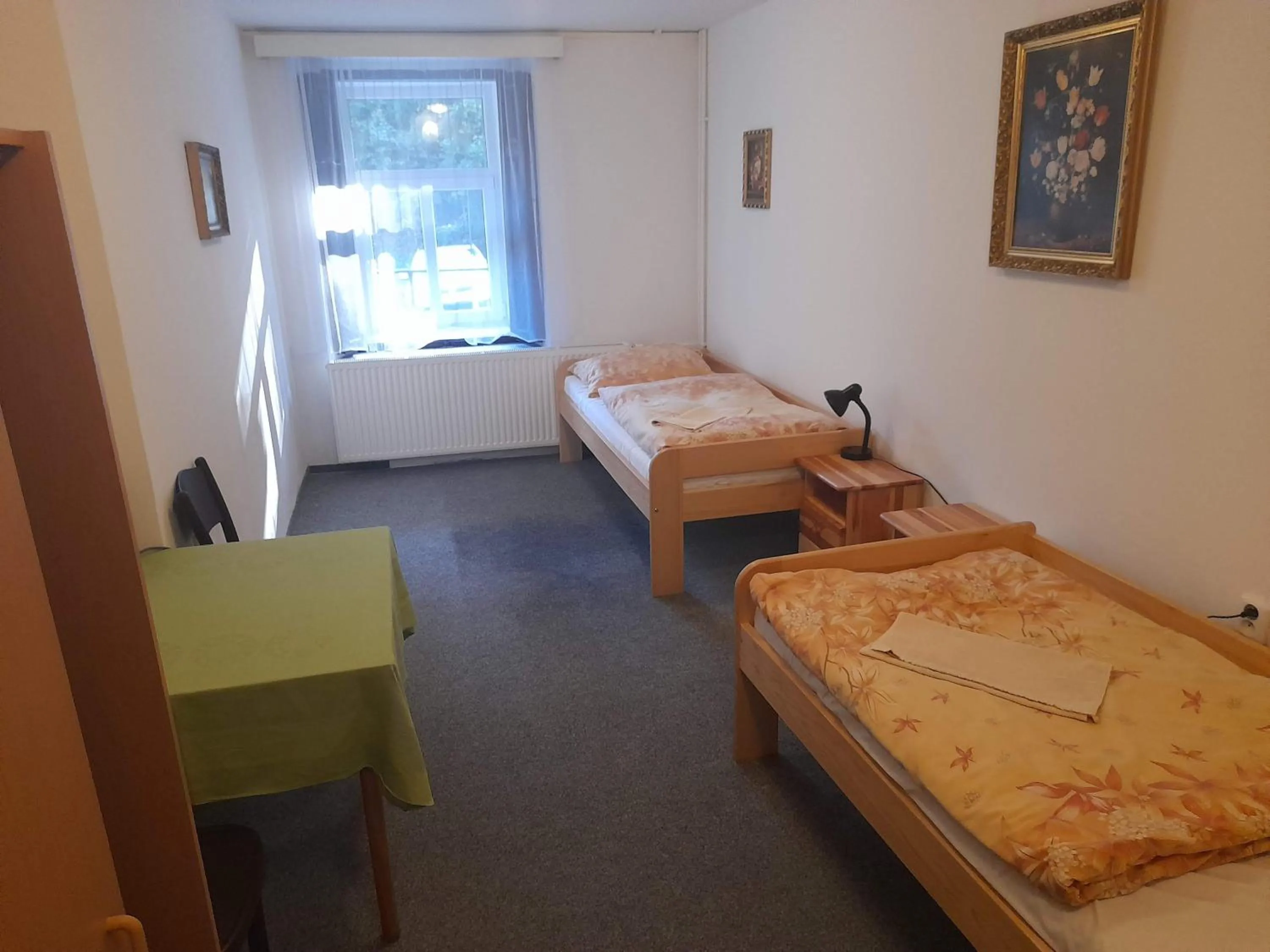 Twin Room - single occupancy - Disability Access in Penzion Betlém