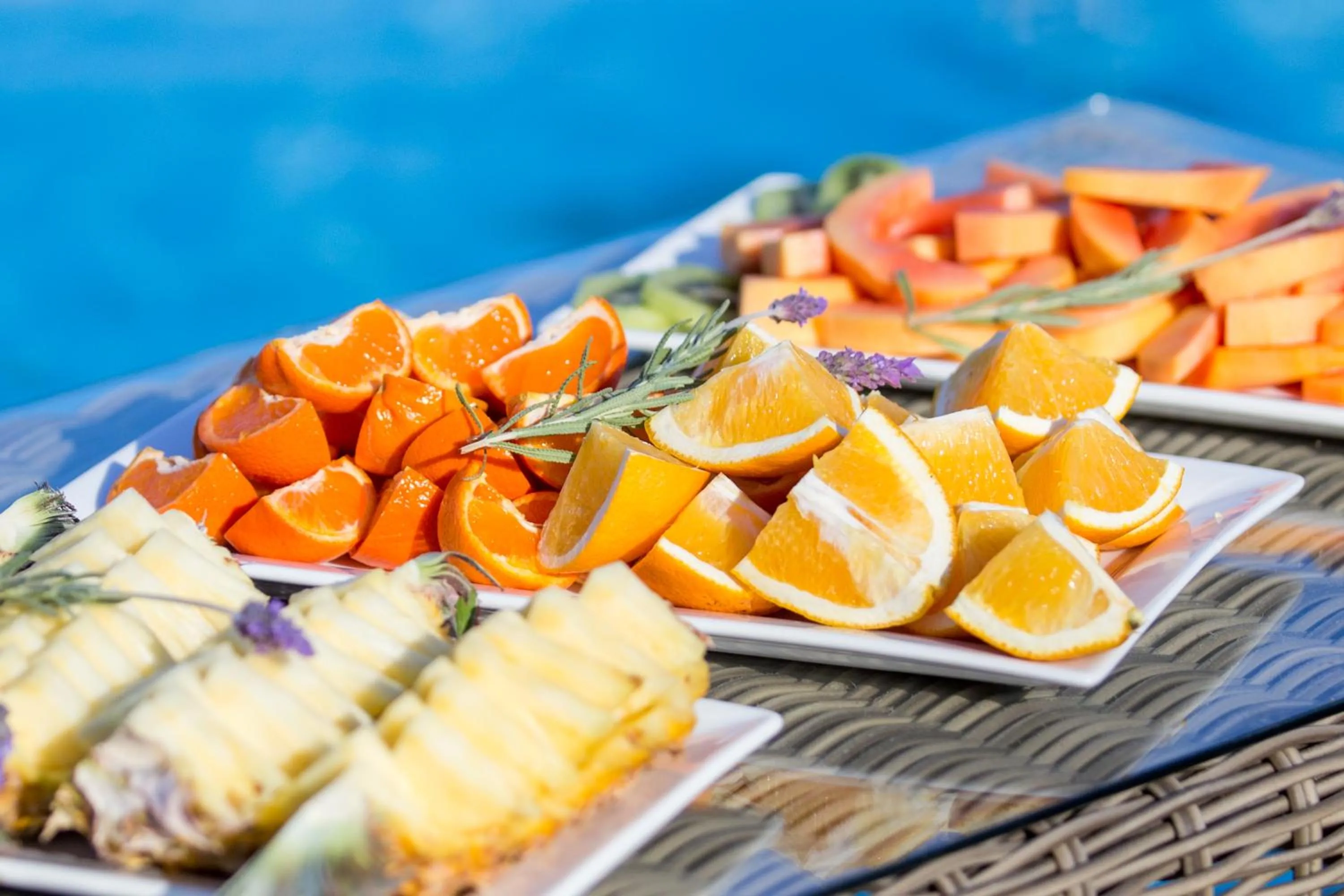 Food in Wildehondekloof Game Lodge