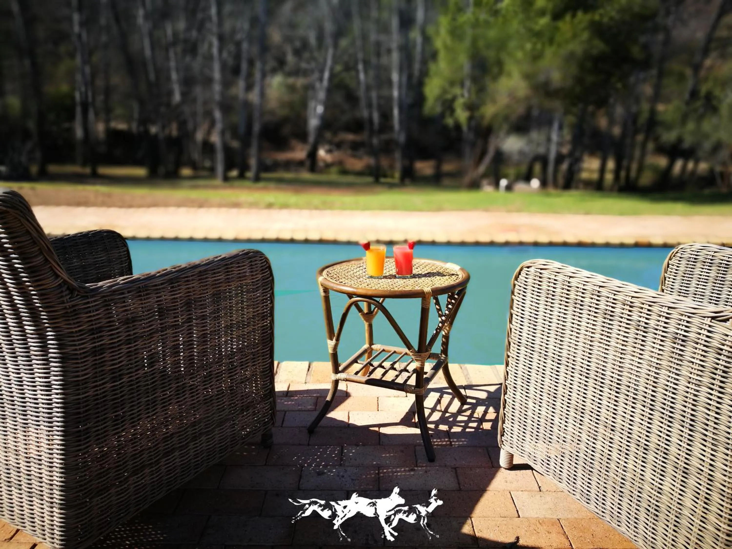 Activities in Wildehondekloof Game Lodge