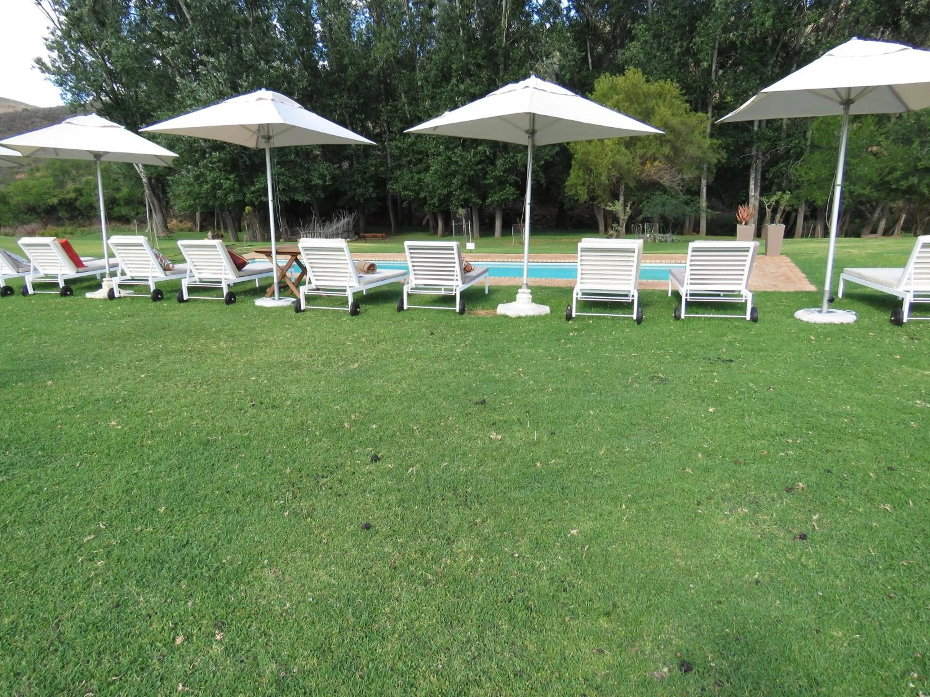 Activities in Wildehondekloof Game Lodge