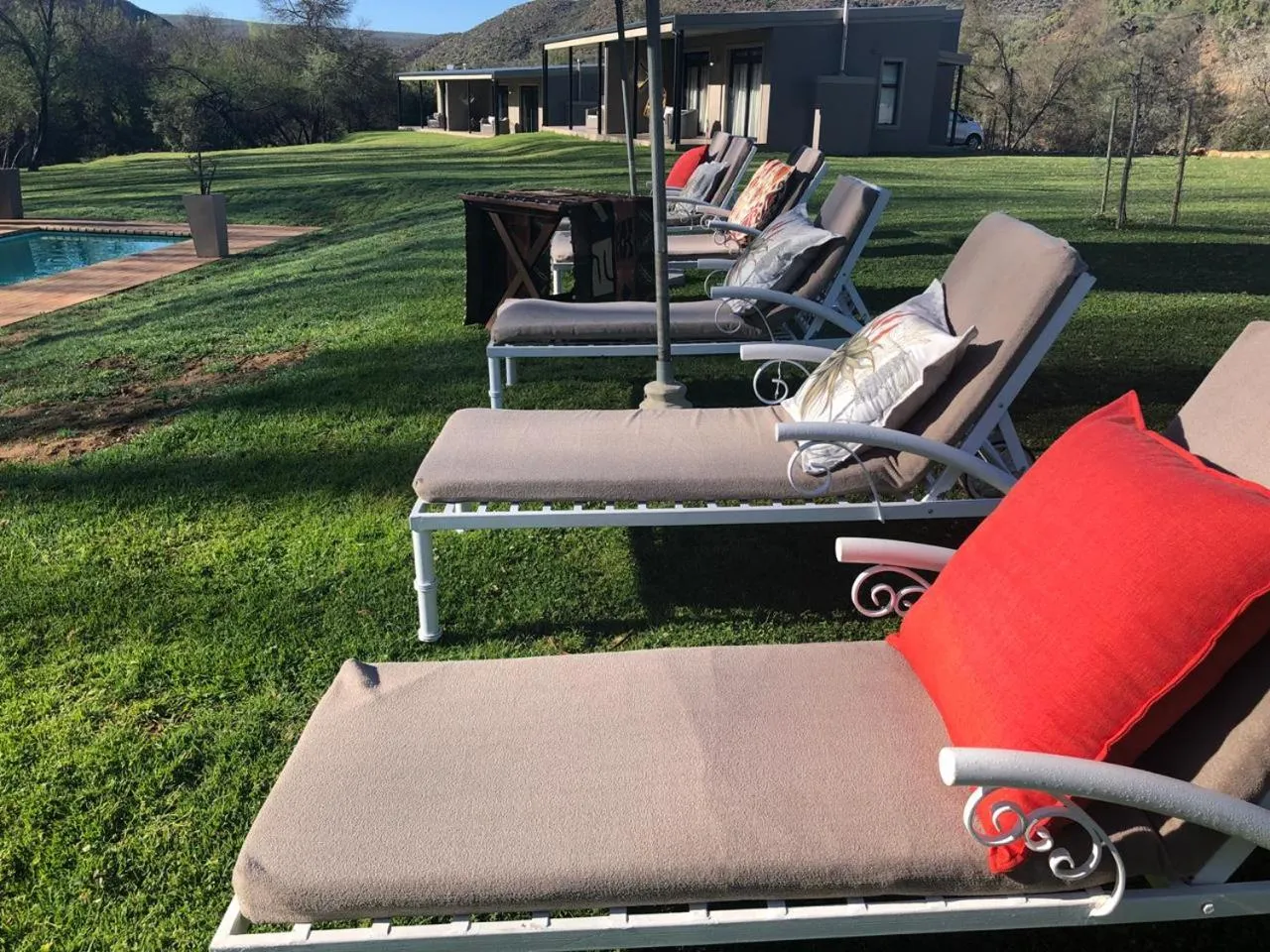 Pool view in Wildehondekloof Game Lodge