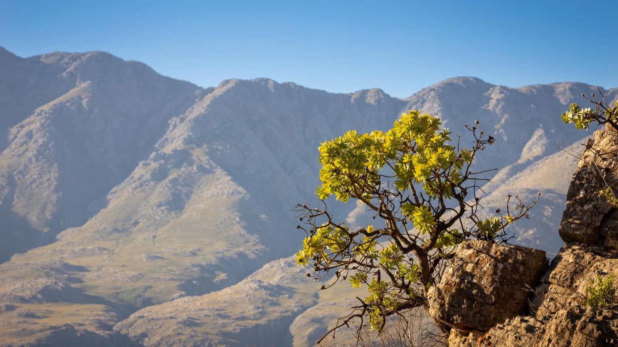 Mountain view in Wildehondekloof Game Lodge
