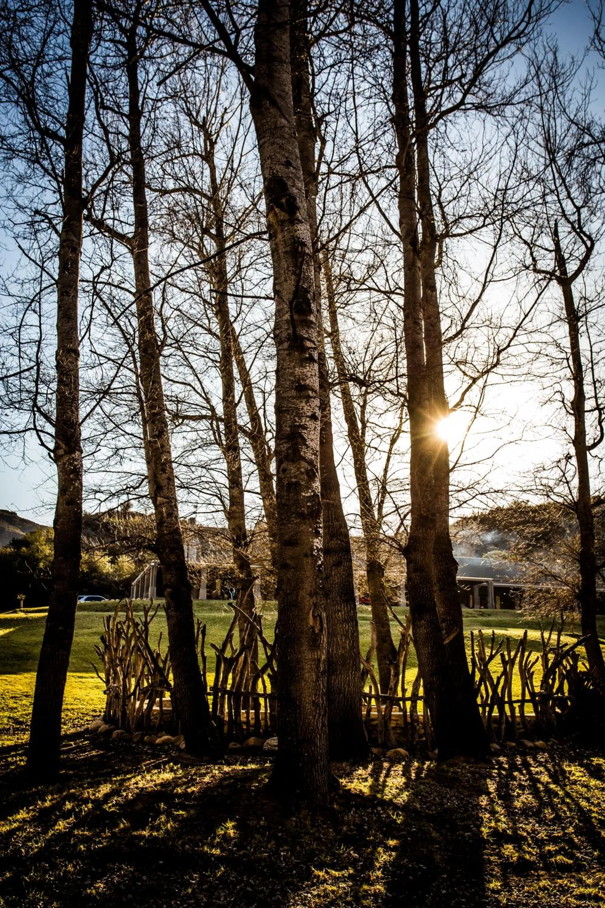 Natural landscape in Wildehondekloof Game Lodge