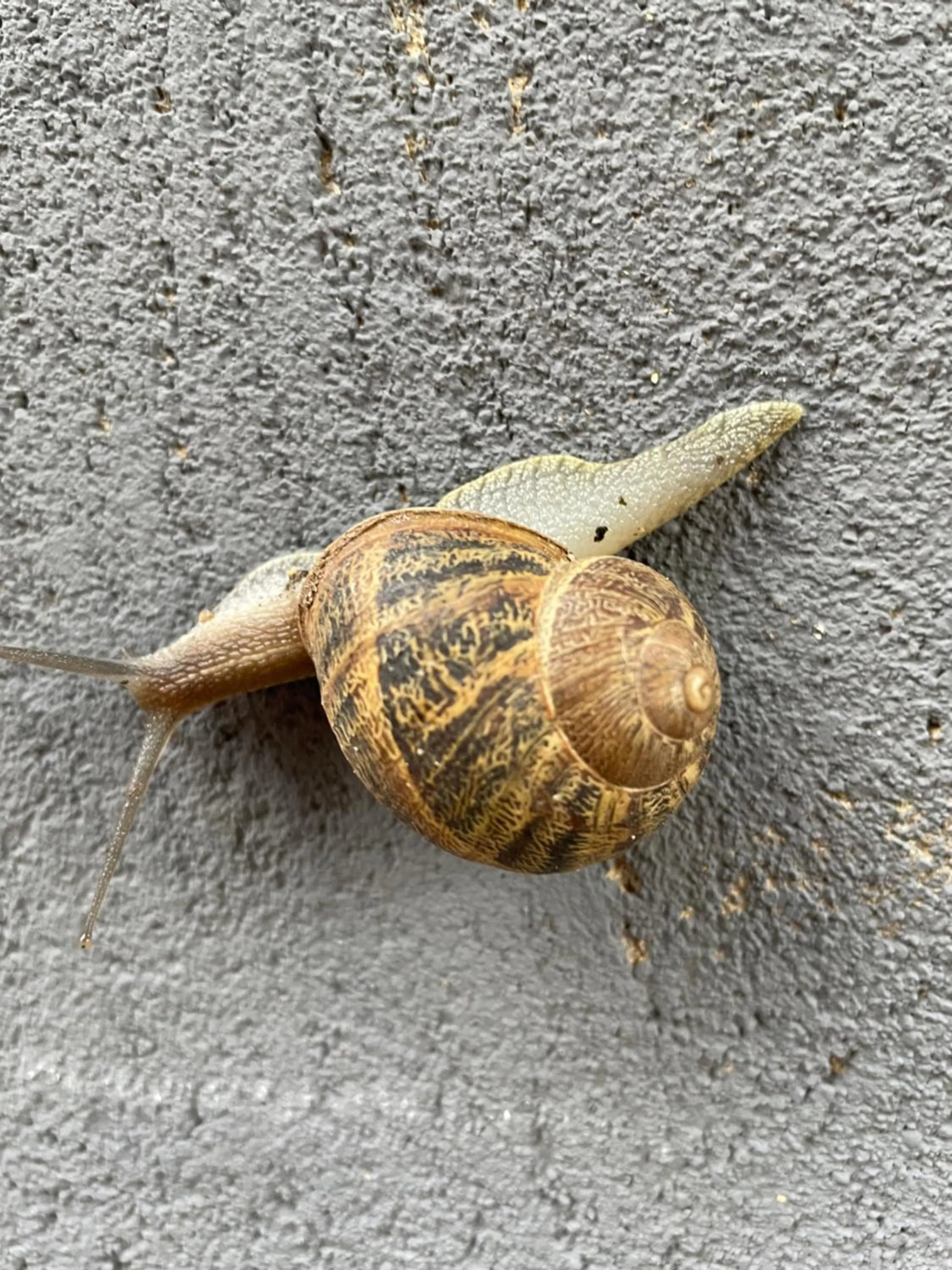 Natural landscape in Le Jardin de LaCoste