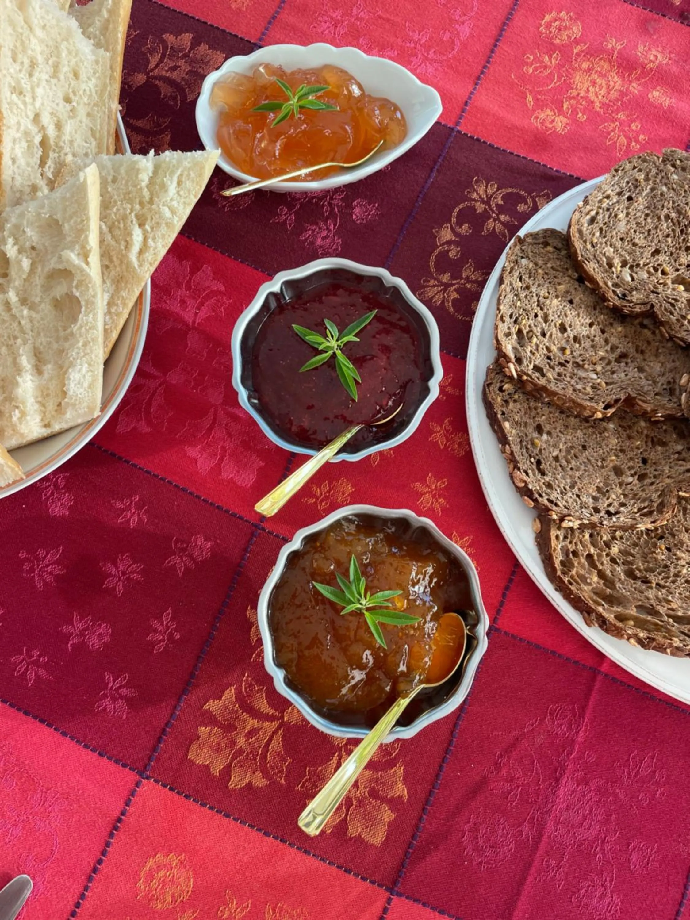 Breakfast in Le Jardin de LaCoste