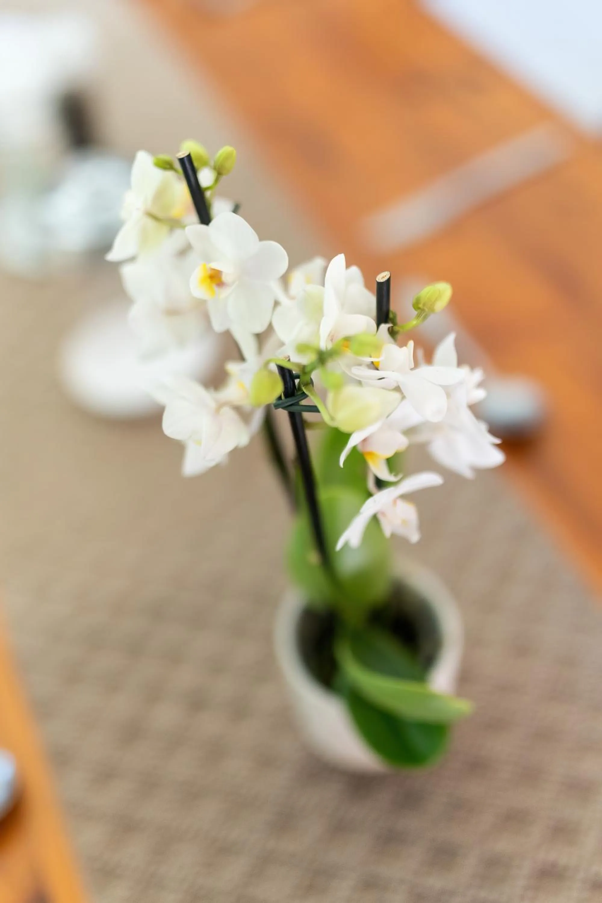 Decorative detail in Faraway Lodge