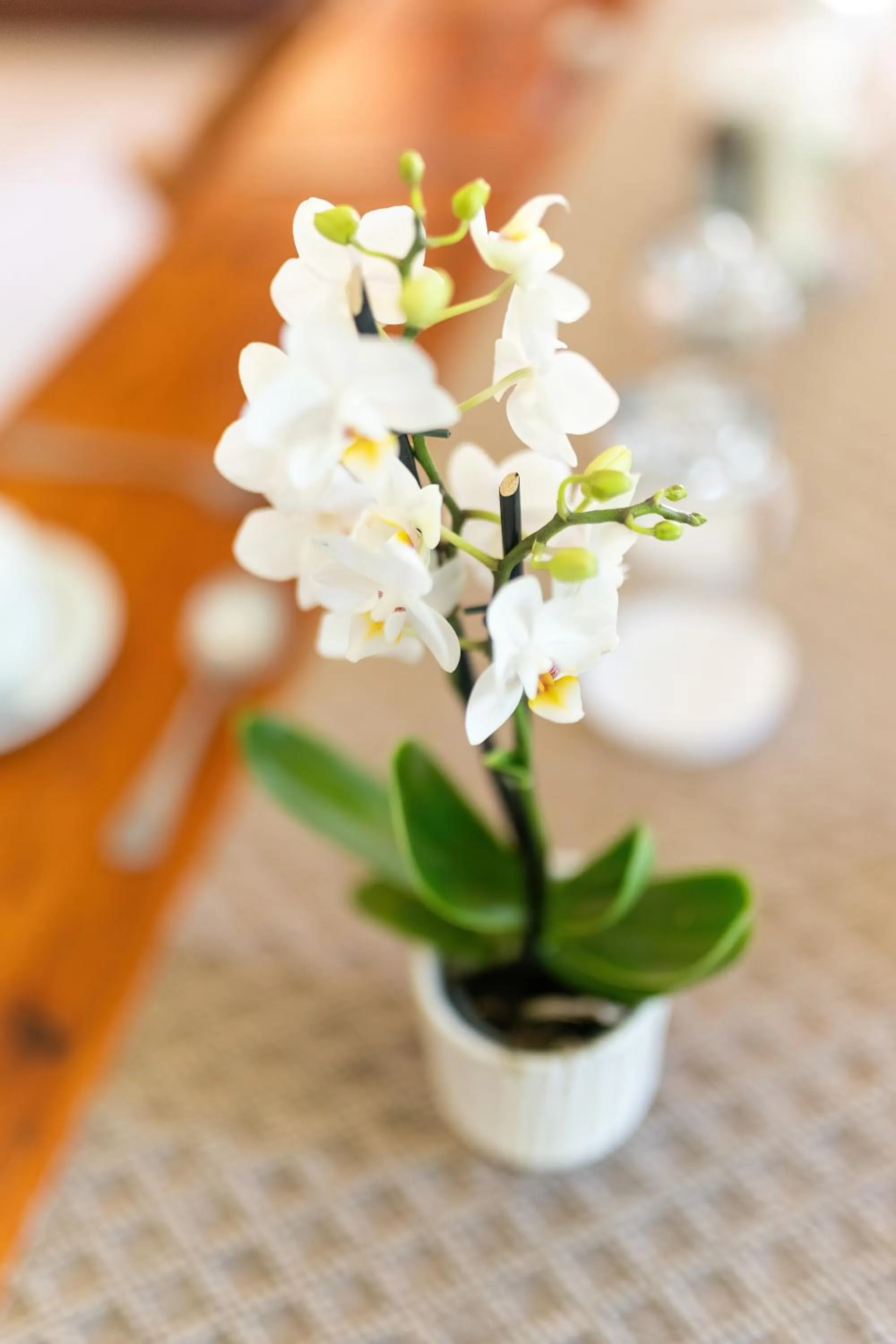 Decorative detail in Faraway Lodge