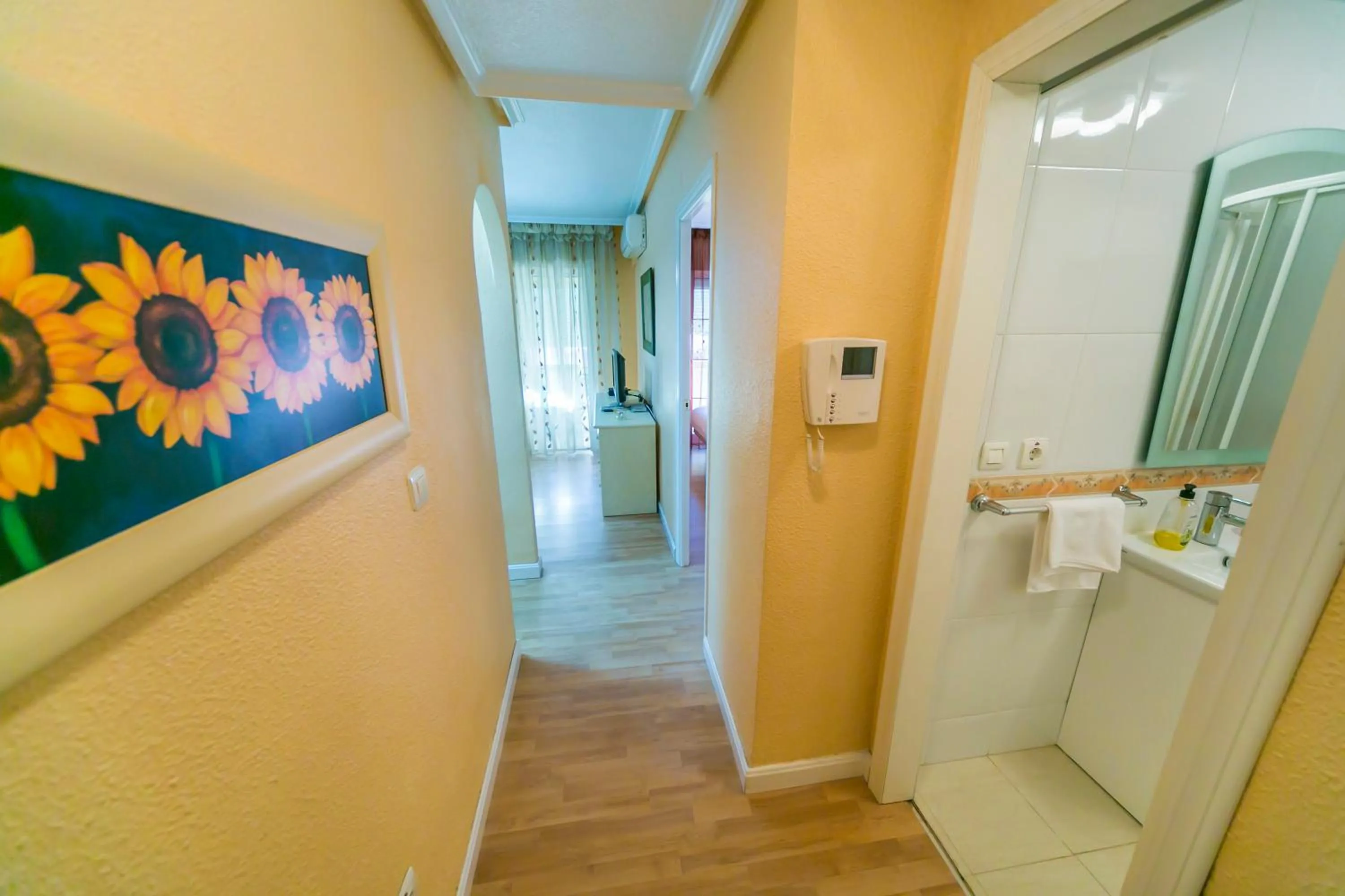 Area and facilities in Homely Apartments Calle Apolo