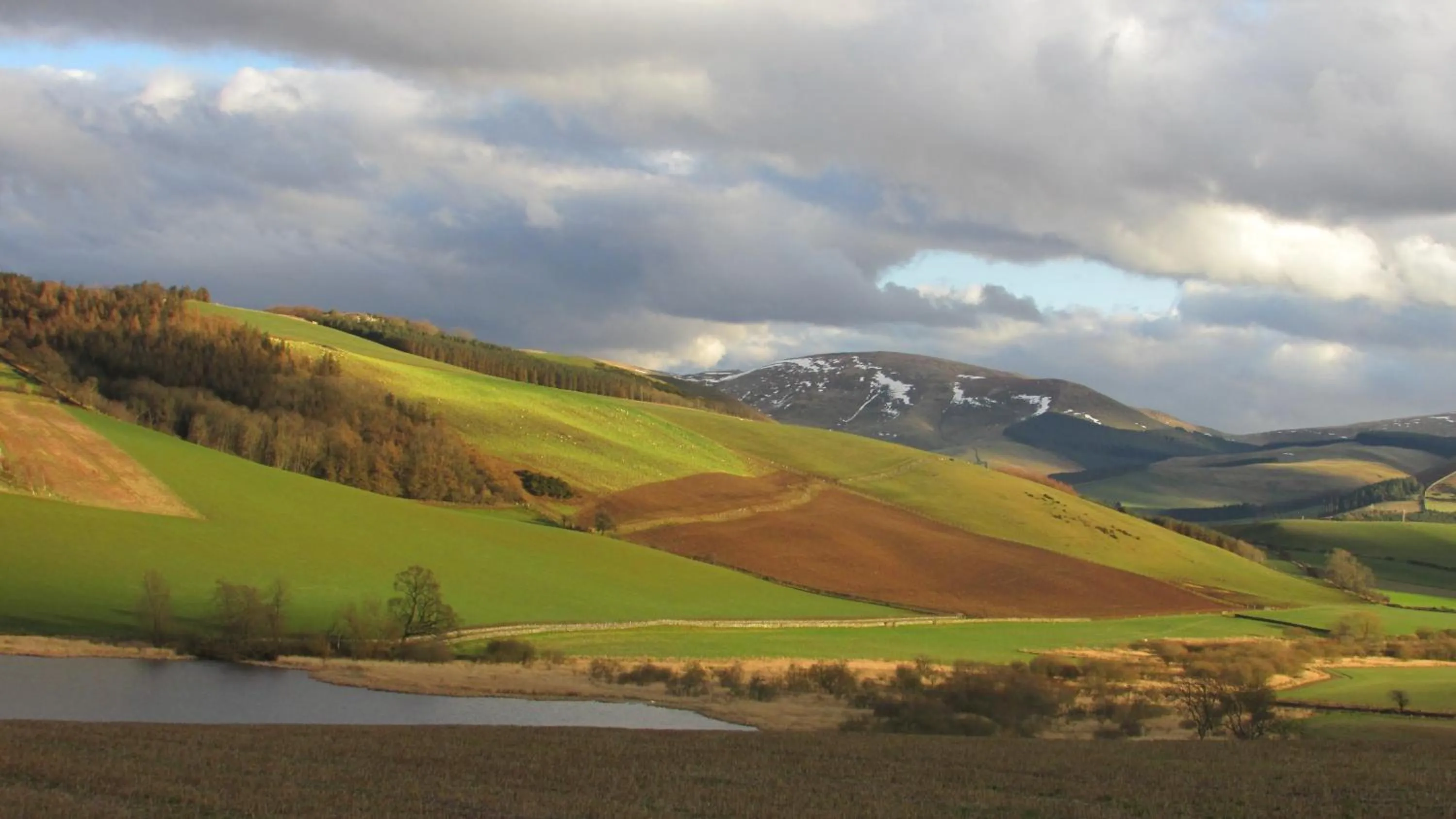 Natural landscape in Mill House