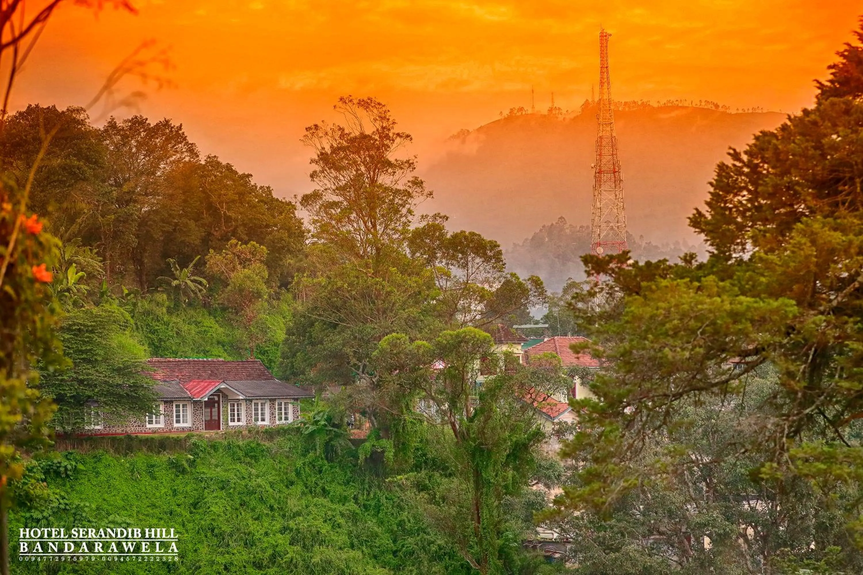 Hotel Serendib Hill