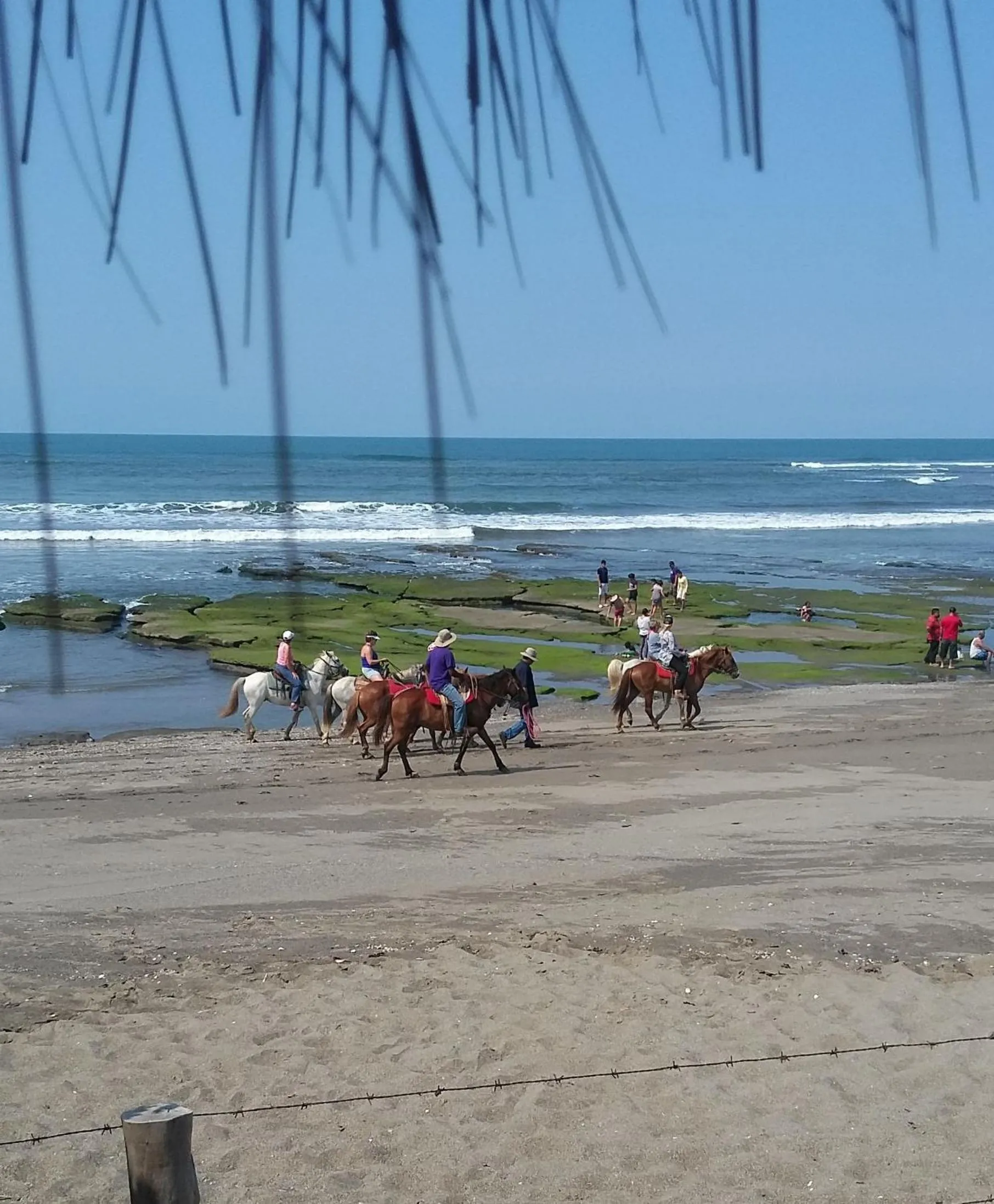 Horse-riding in Casa Playa San Diego