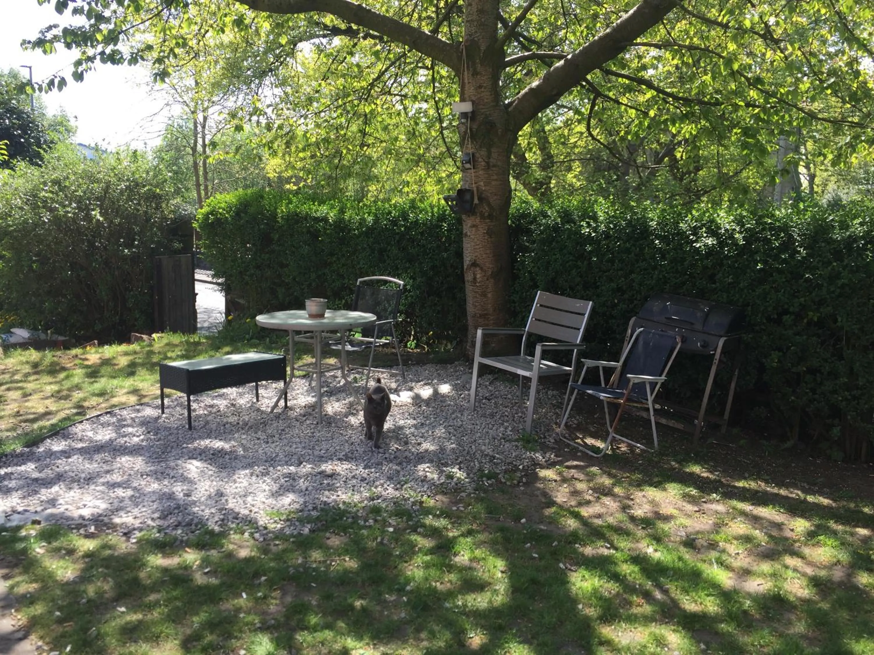 Garden in Queens Guesthouse Manchester