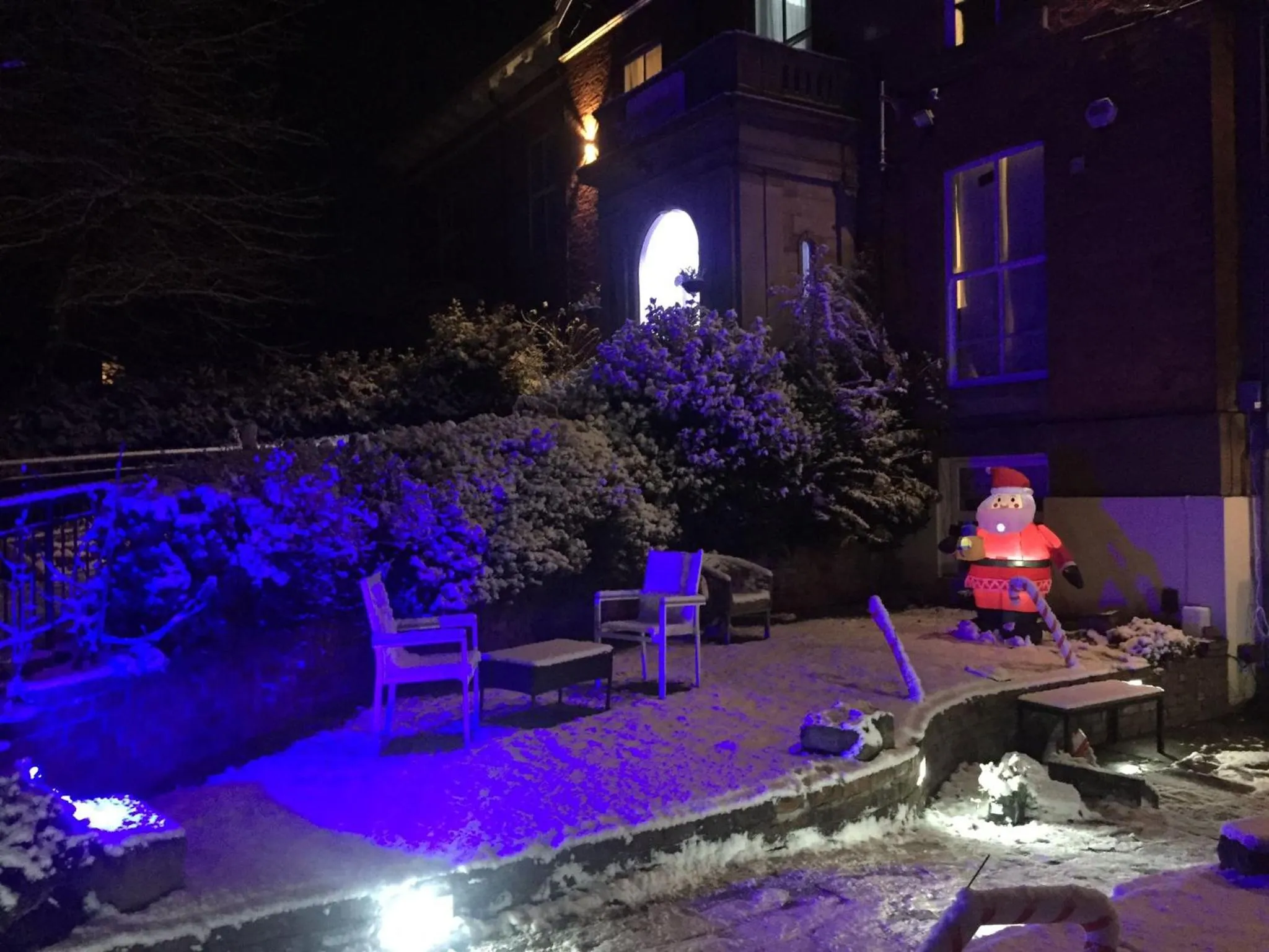 Garden in Queens Guesthouse Manchester