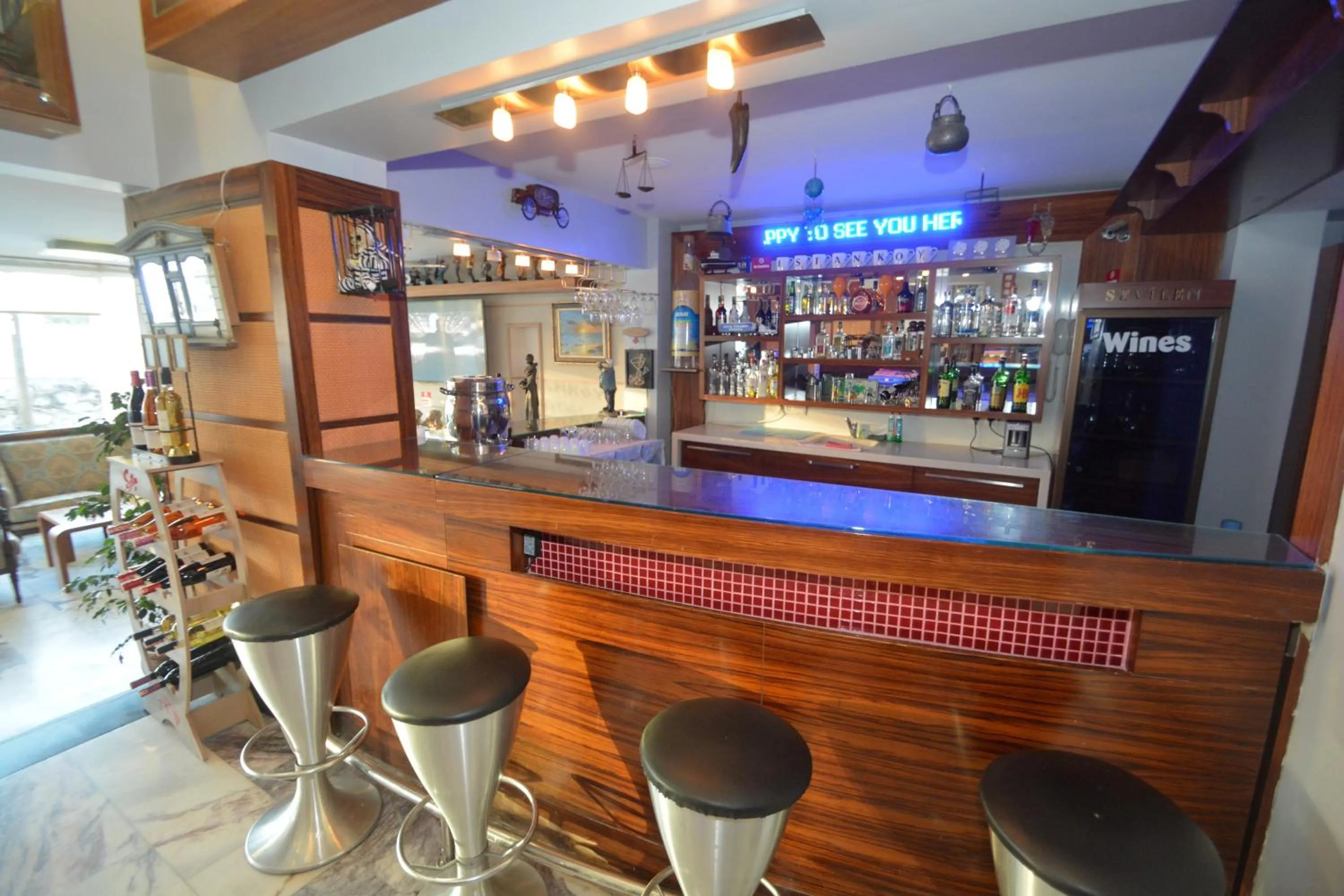 Lounge or bar in Istankoy Hotel