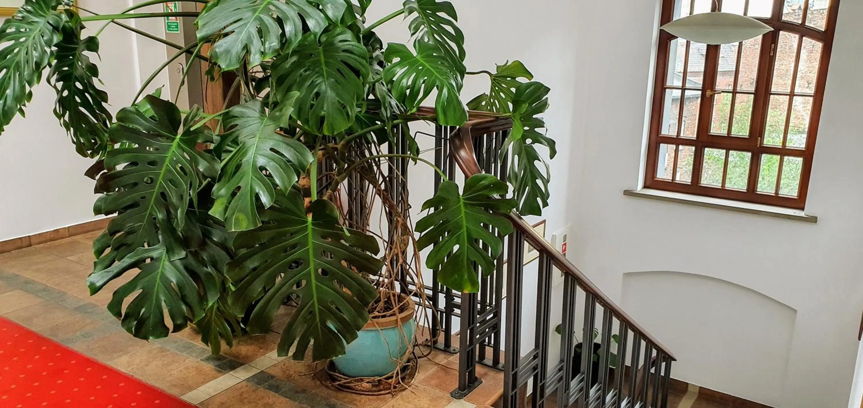 Floor plan in Aparthotel Hornigold "W Zielonej Kamienicy"