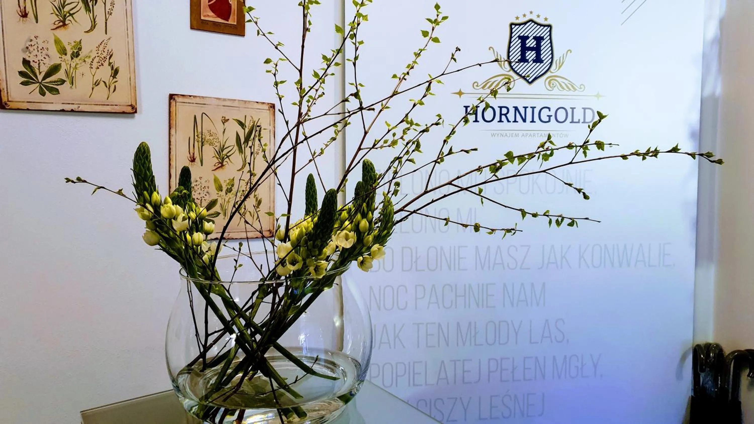 Property logo or sign in Aparthotel Hornigold "W Zielonej Kamienicy"