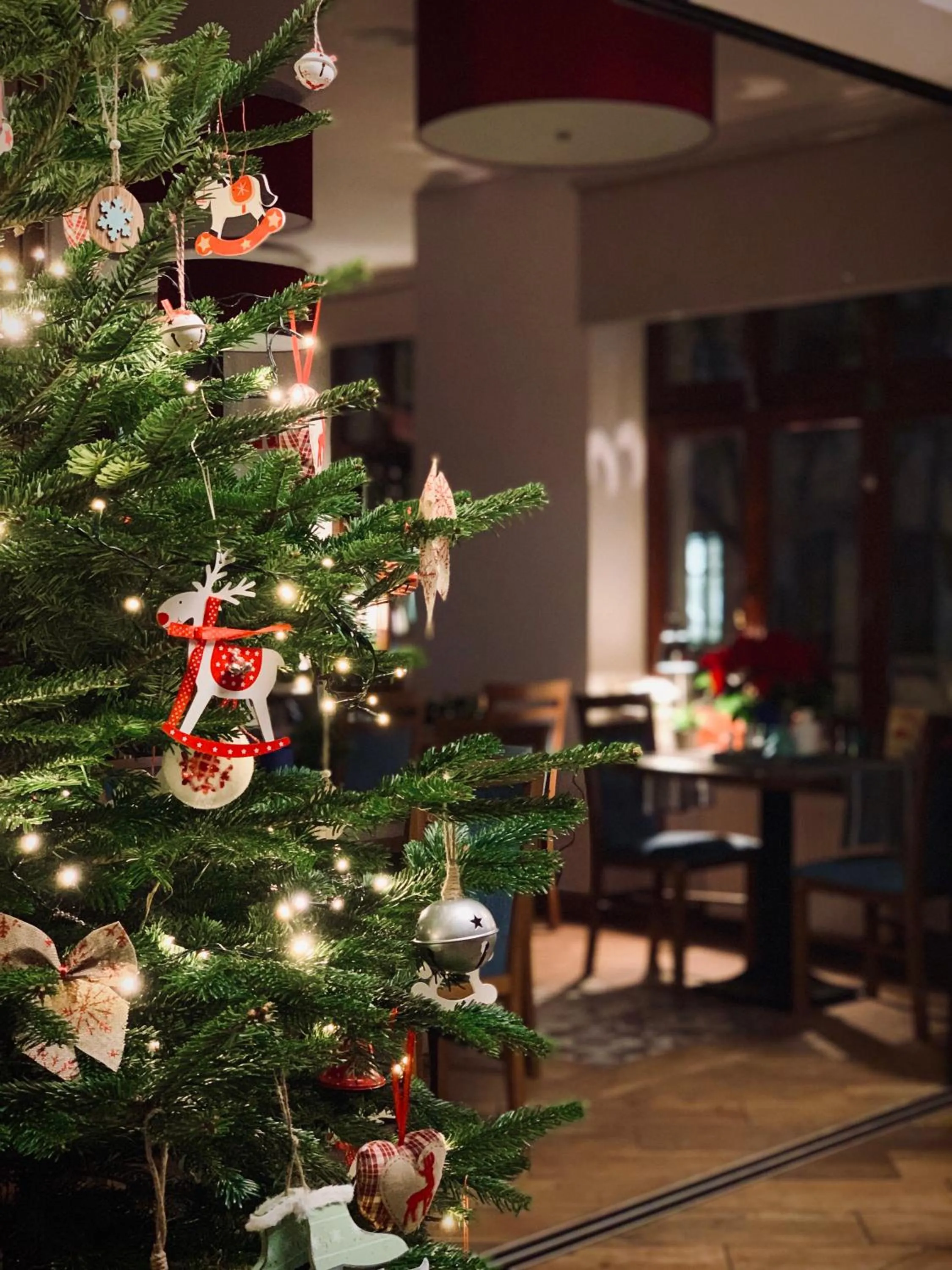 Winter in Aparthotel Hornigold "W Zielonej Kamienicy"