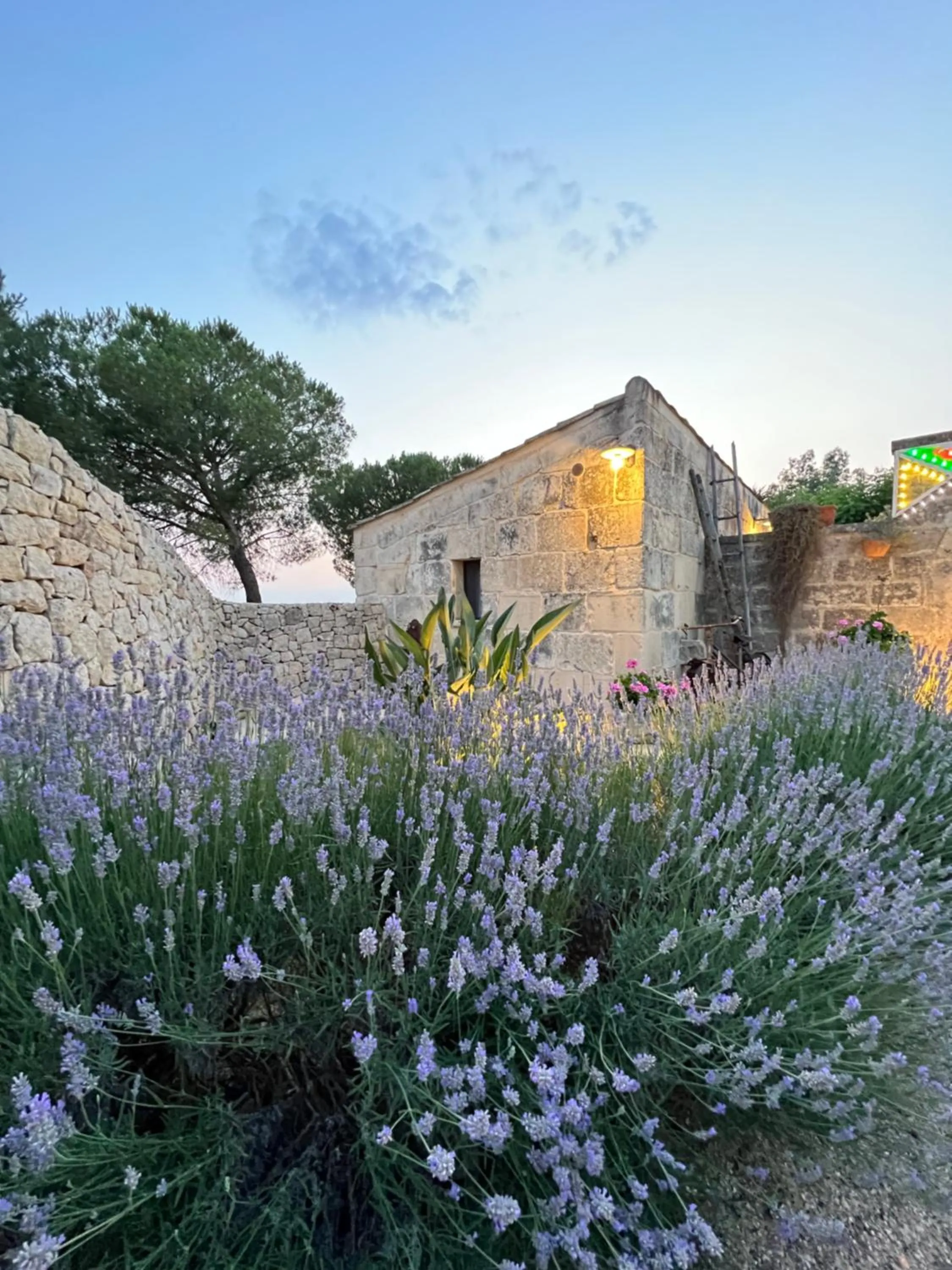 Garden in Masseria Casina Montana