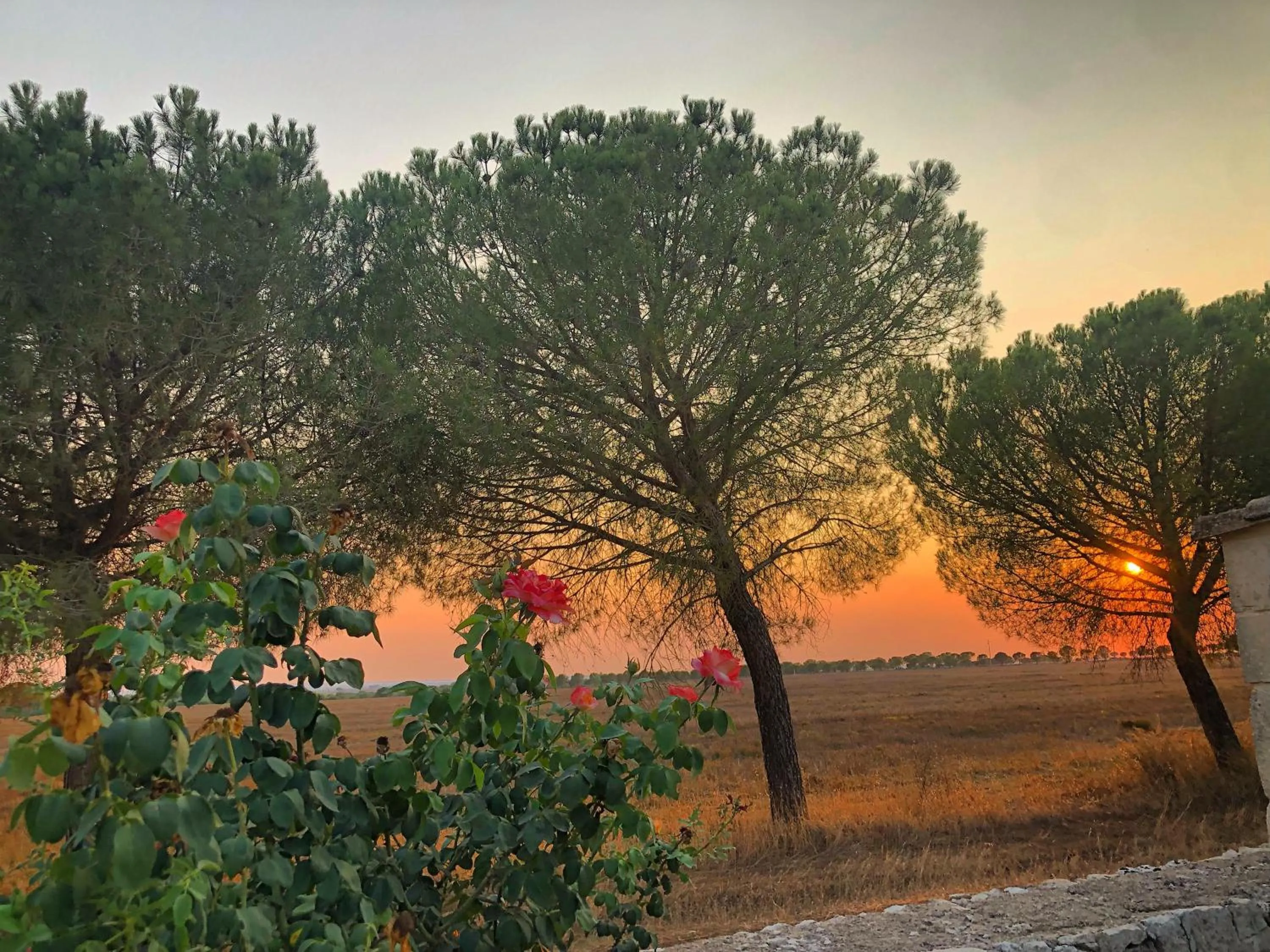Natural landscape in Masseria Casina Montana