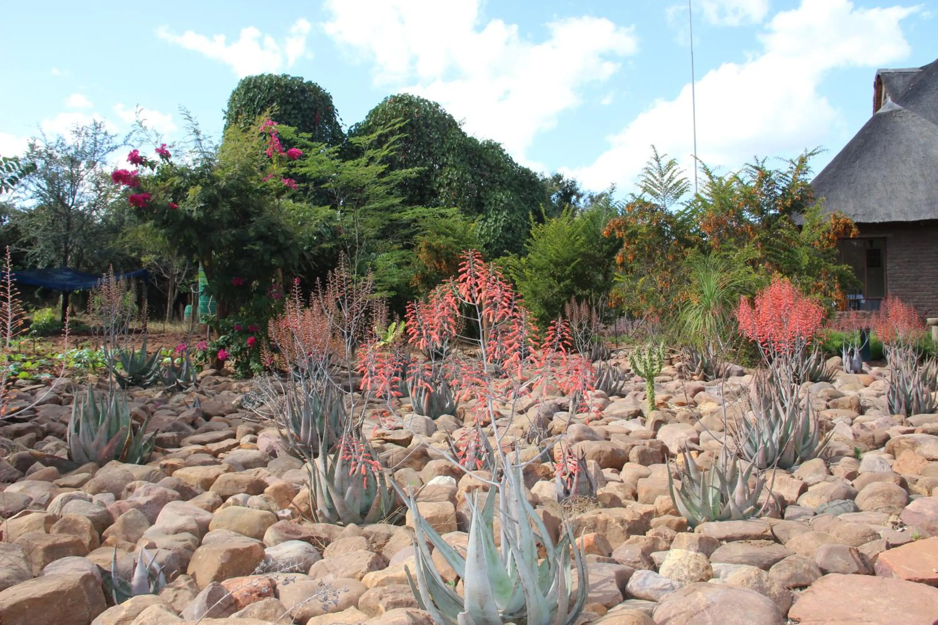 Garden in Copacopa Lodge and Conference Centre