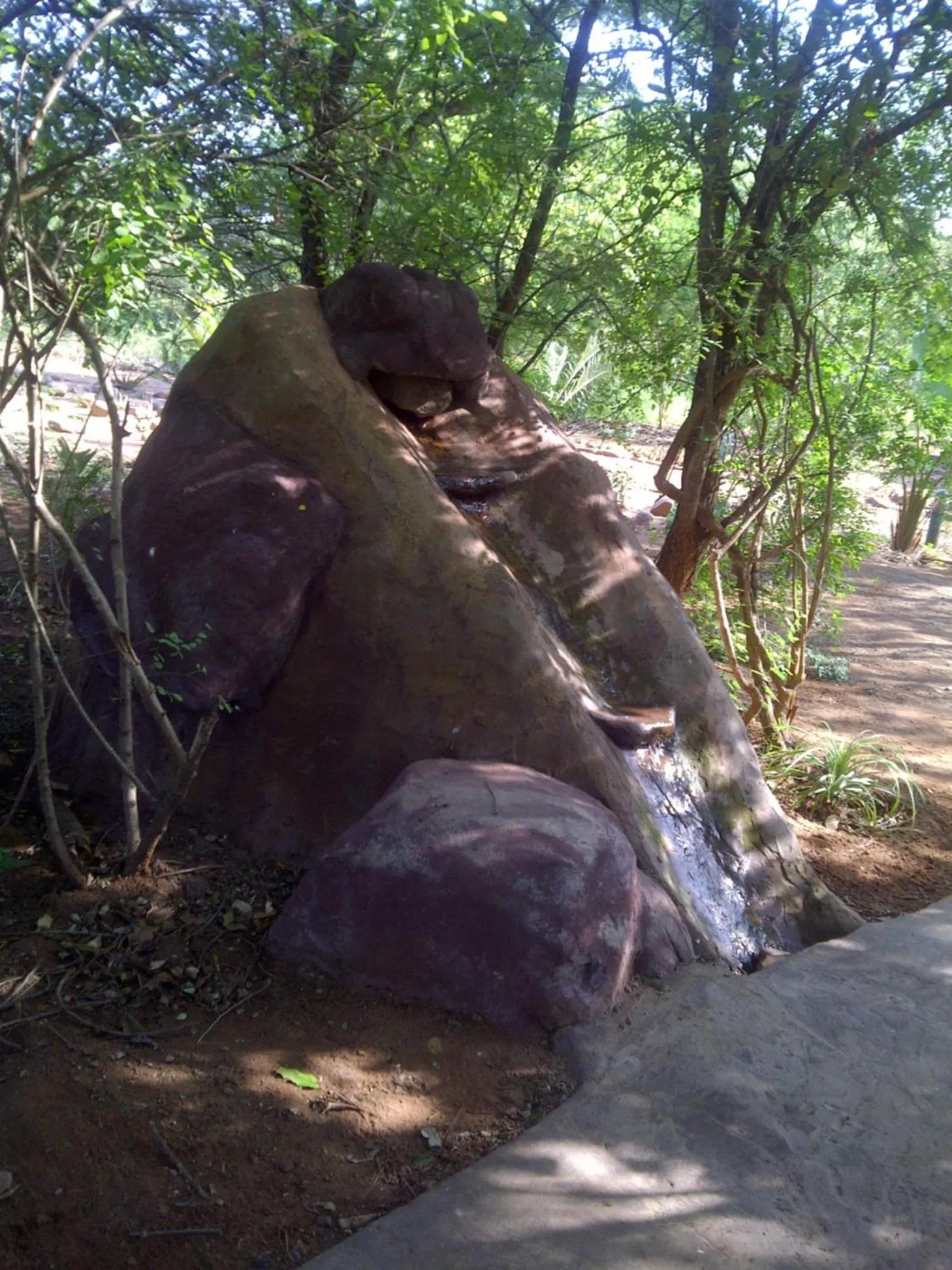Garden in Copacopa Lodge and Conference Centre