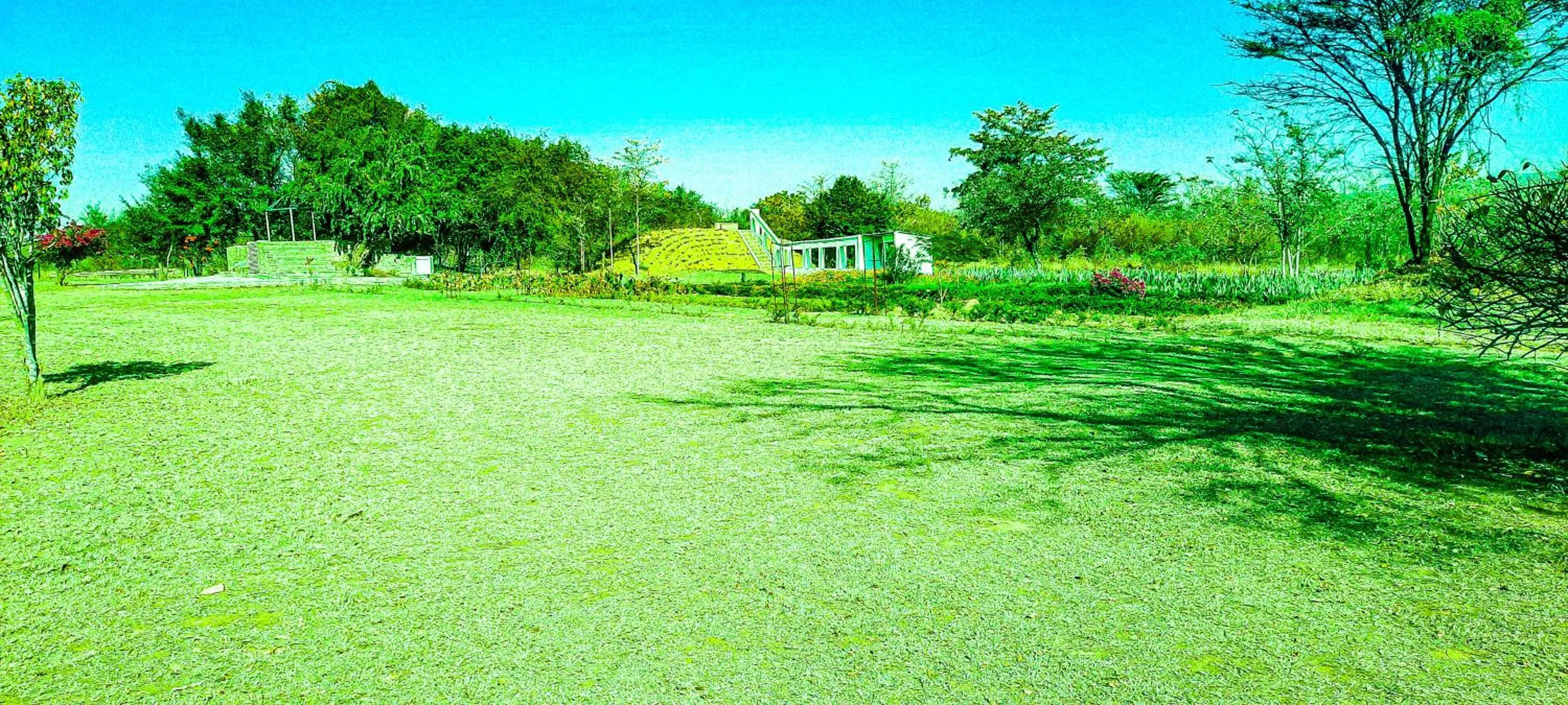 Garden in Copacopa Lodge and Conference Centre