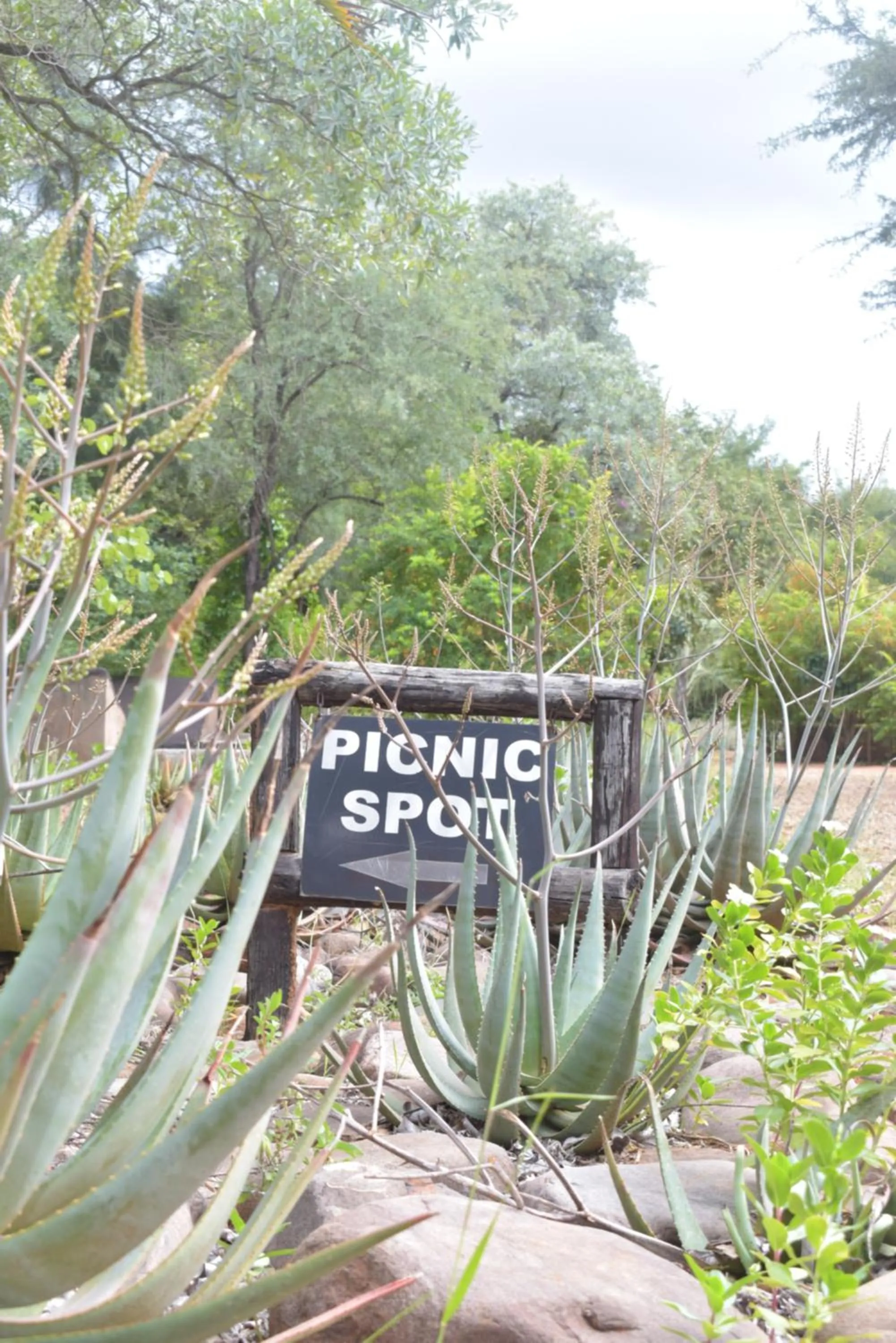 Garden in Copacopa Lodge and Conference Centre