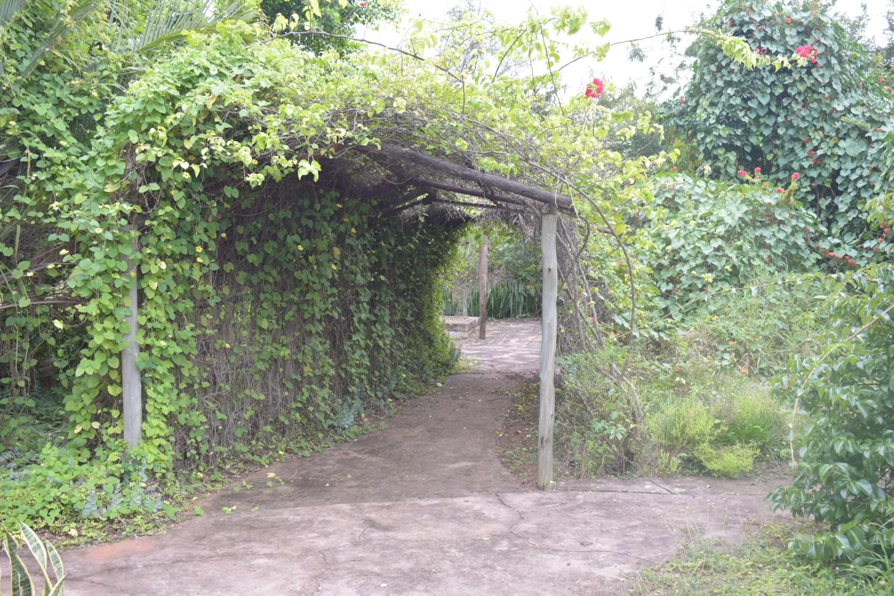 Garden view in Copacopa Lodge and Conference Centre