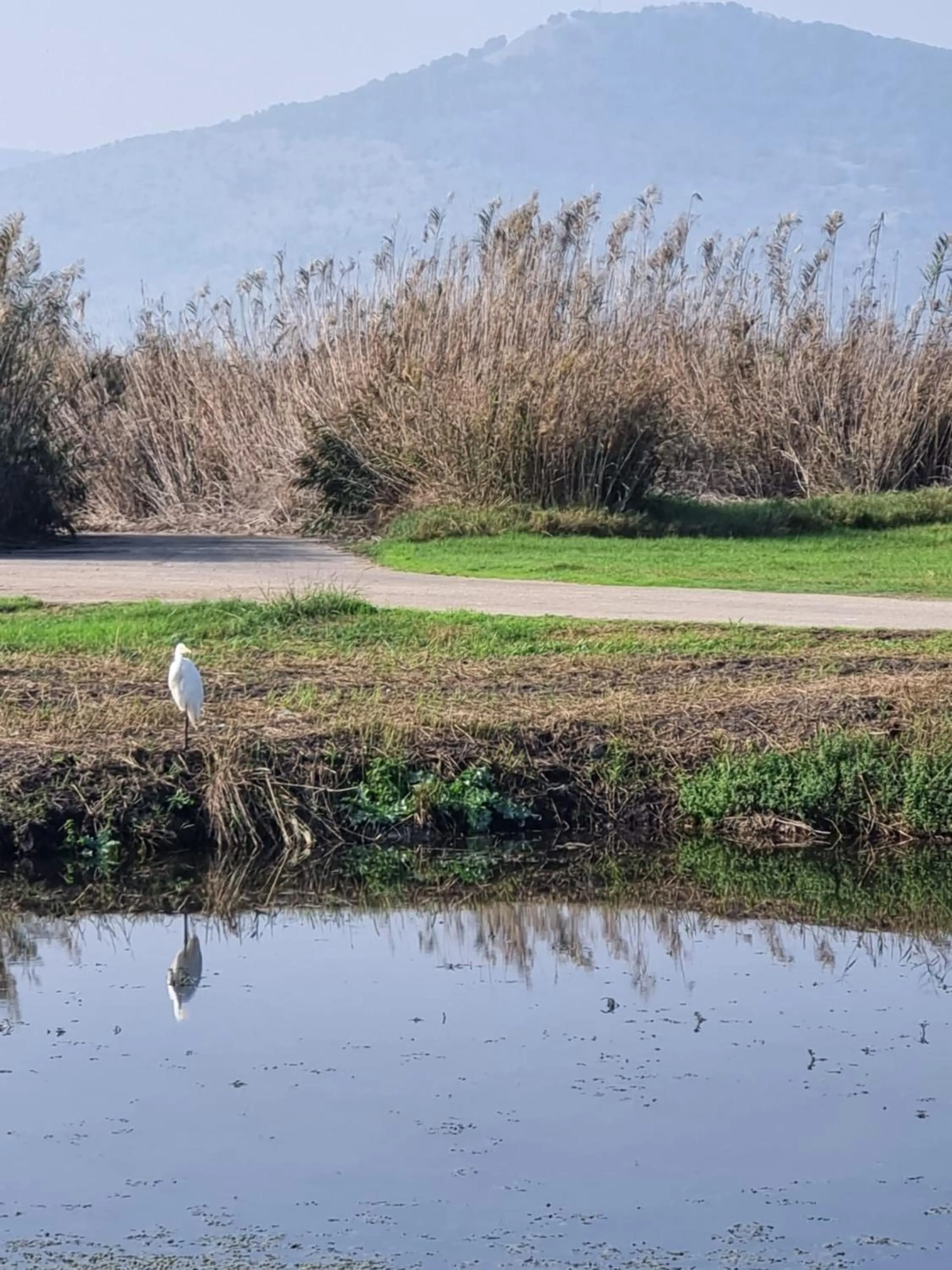 Natural landscape in Yarden Estate Hotel