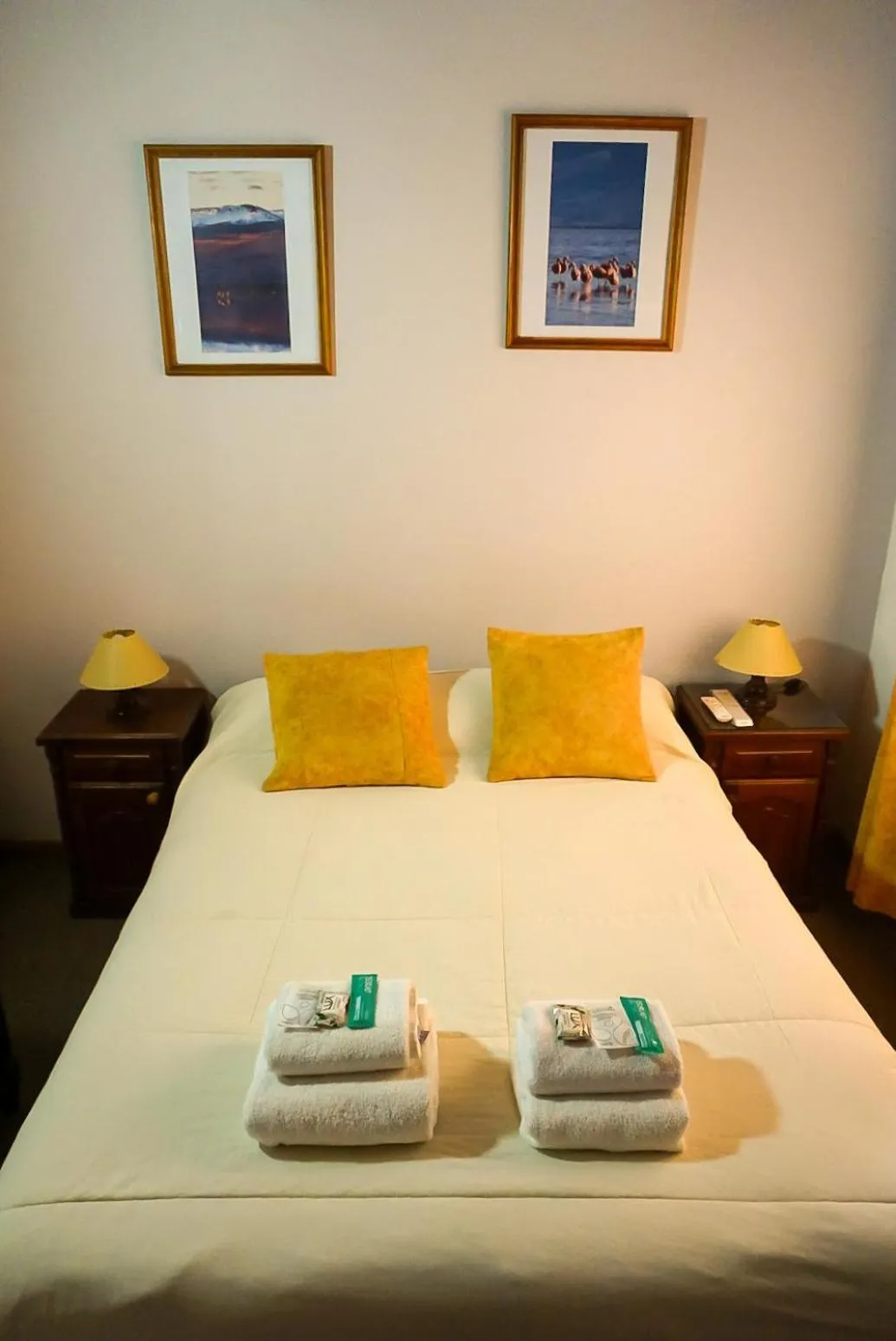 Bed in Apart Hotel Libertador