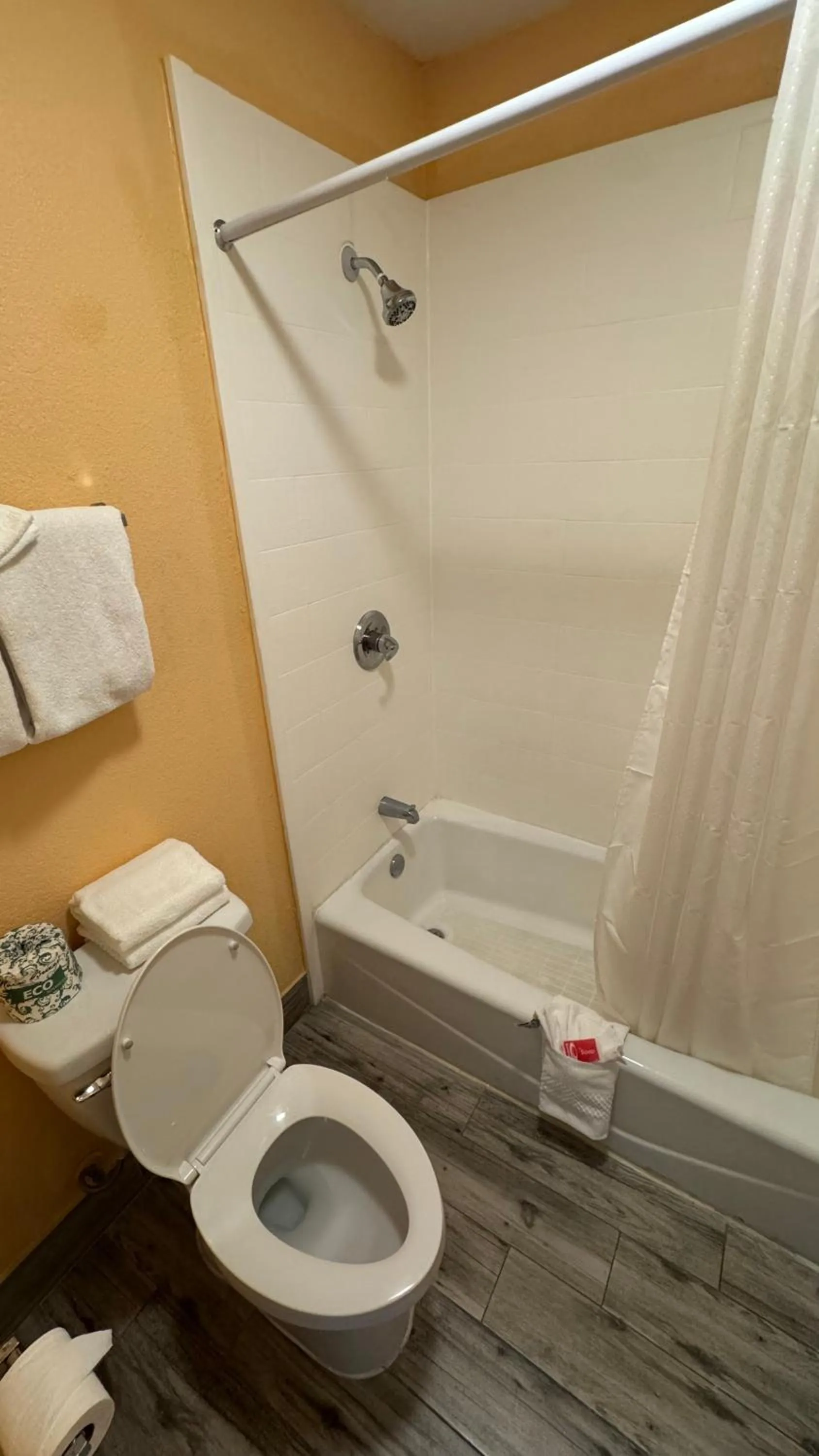 Shower in Econo Lodge