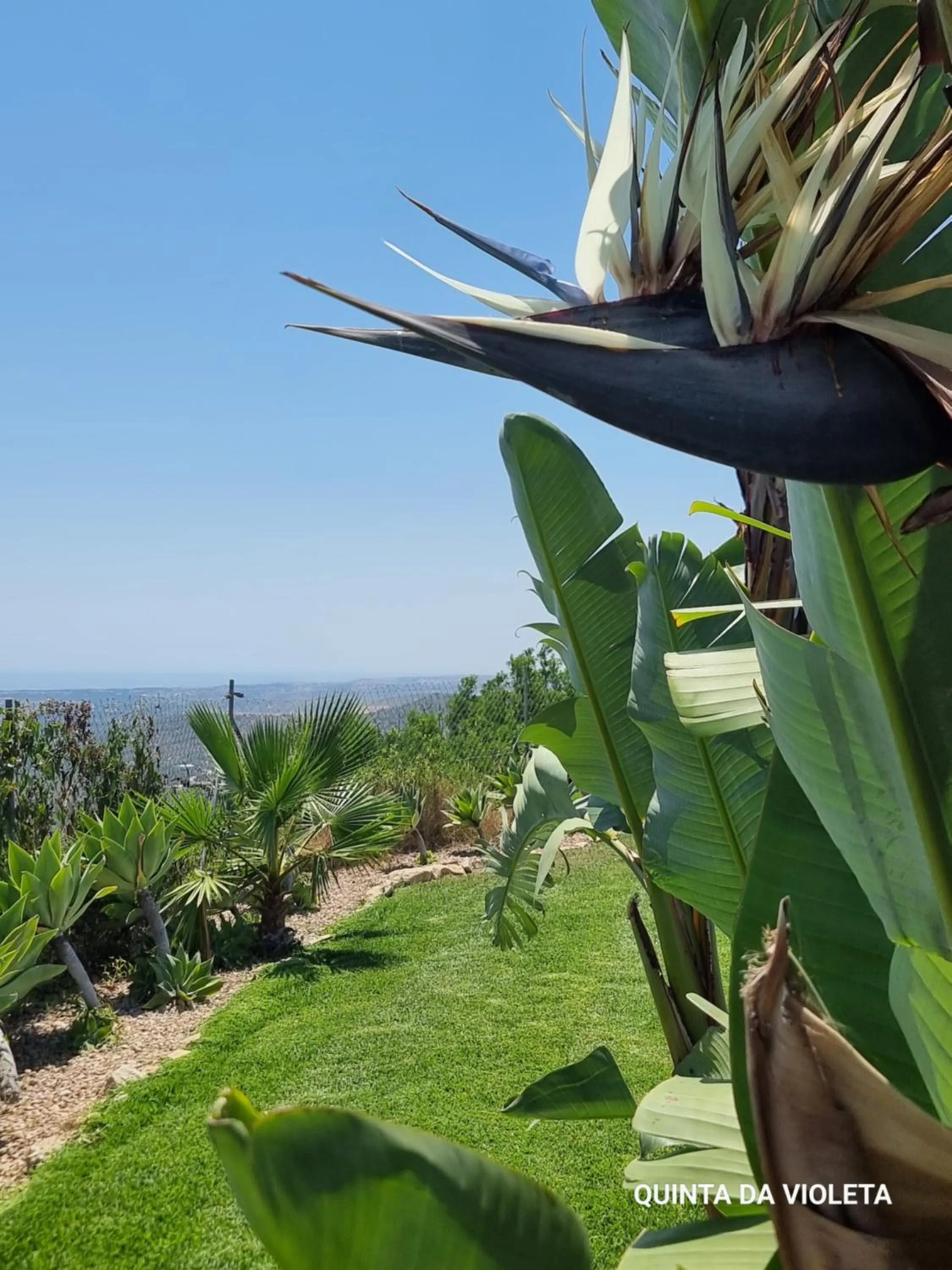 Bird's eye view in Villa Quinta da Violeta