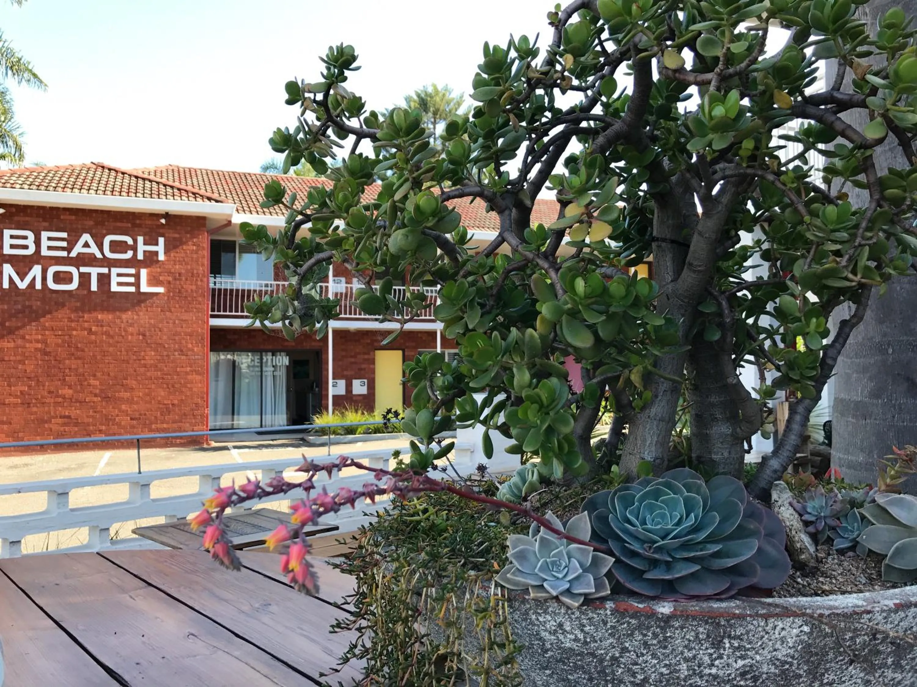 Facade/entrance in Thirroul Beach Motel