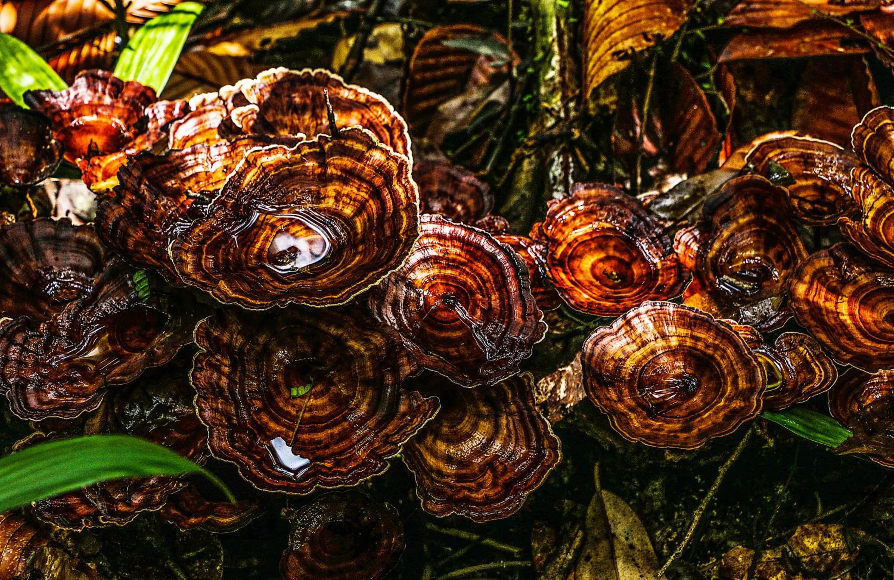 Natural landscape in Lavenro Hotel & Resort