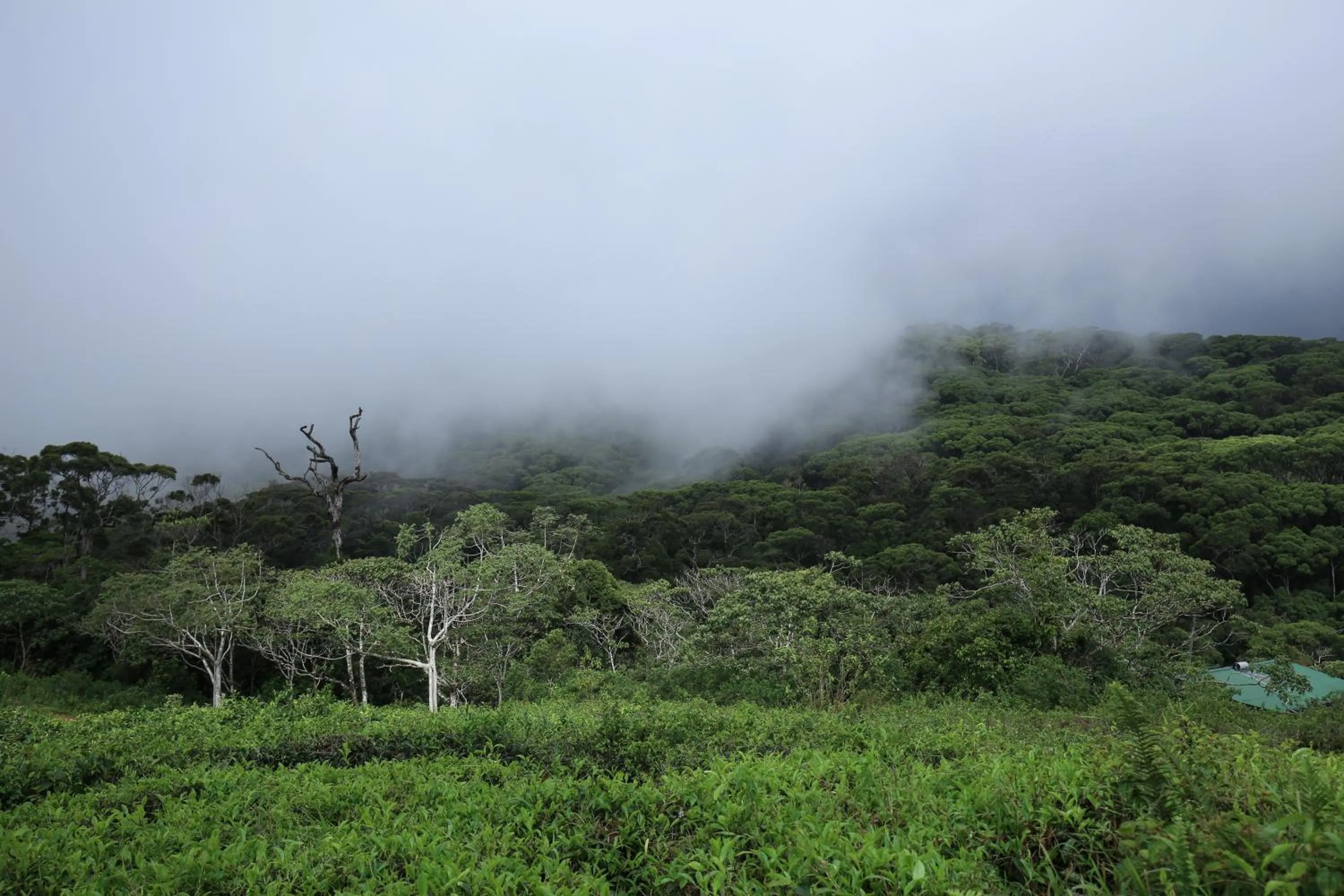 Nearby landmark in Lavenro Hotel & Resort